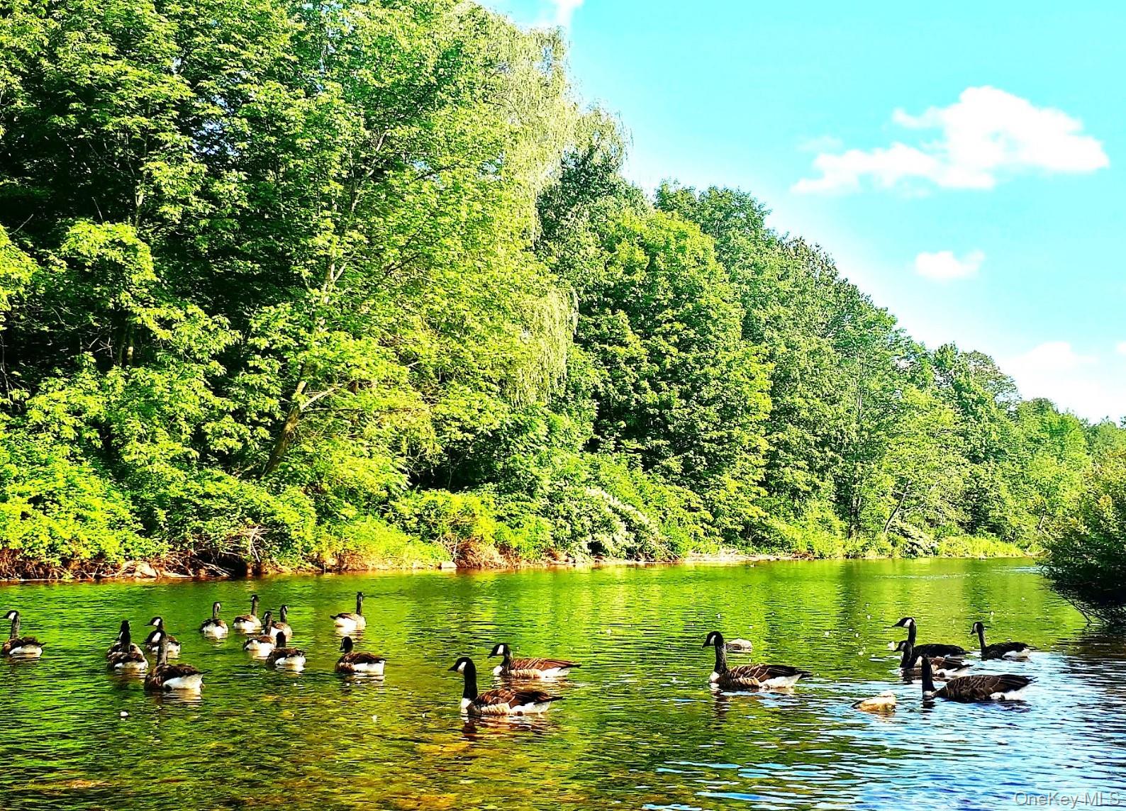 Woodbourne, NY 12788