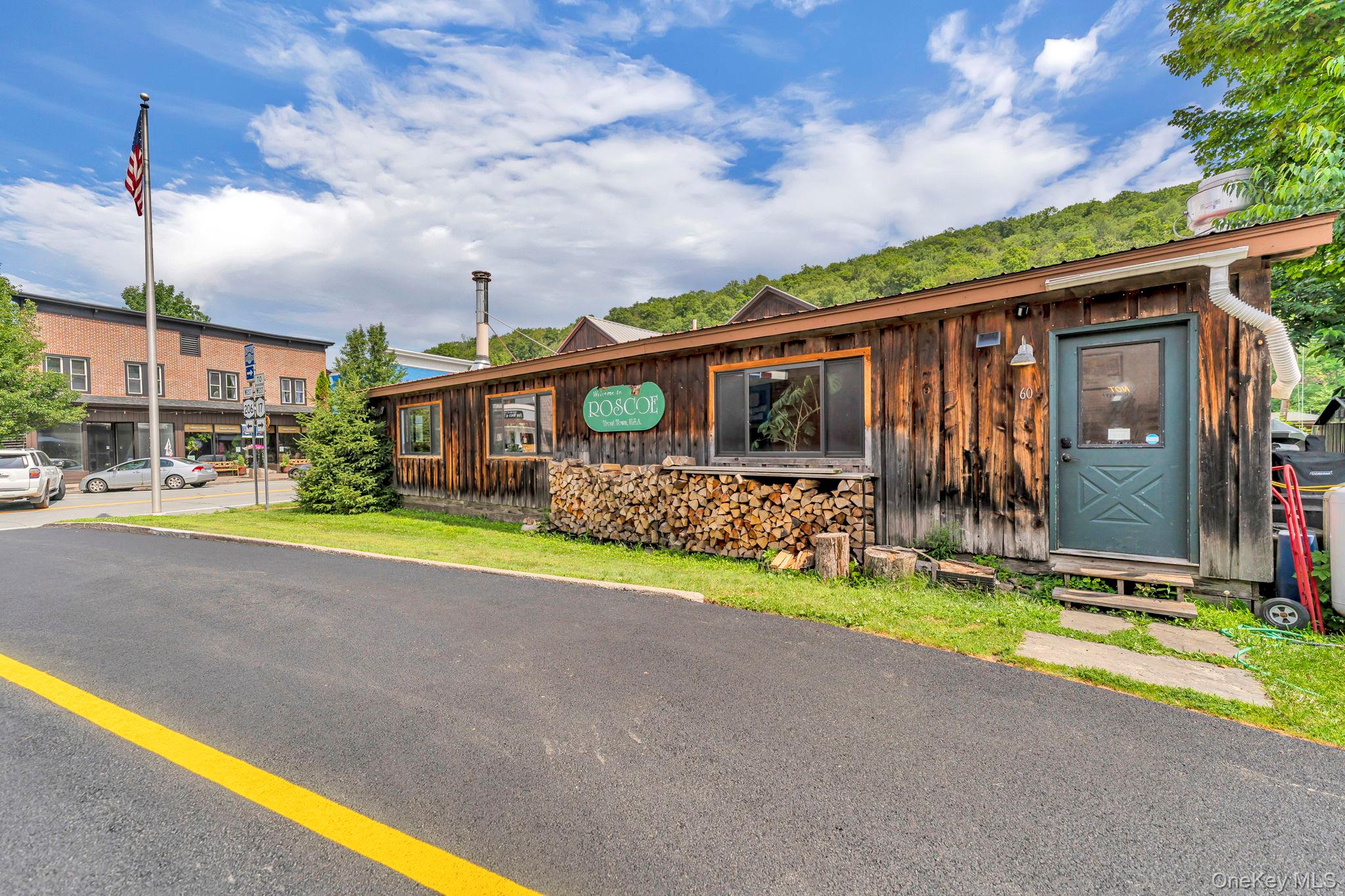 1959 Old Route 17, Roscoe, NY 12776