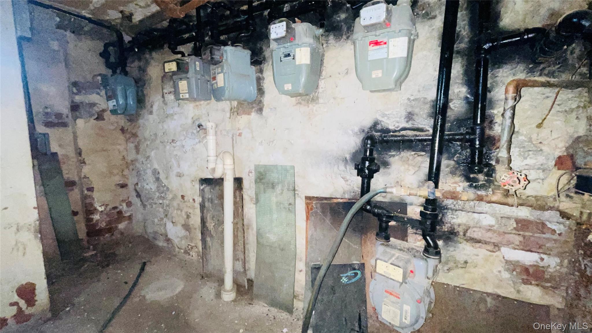 482 Ridgewood Avenue, Brooklyn, NY 11208