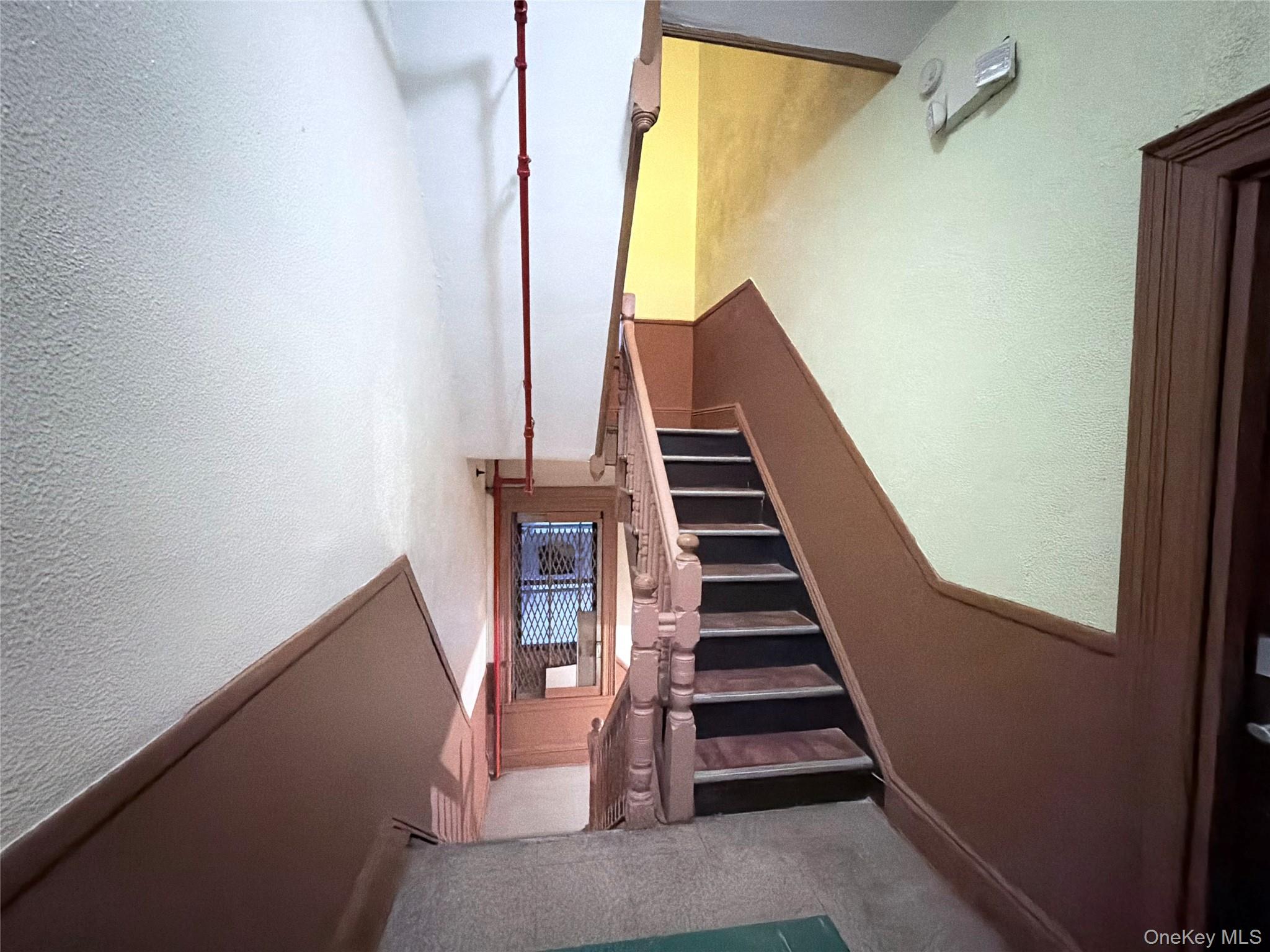 482 Ridgewood Avenue, Brooklyn, NY 11208