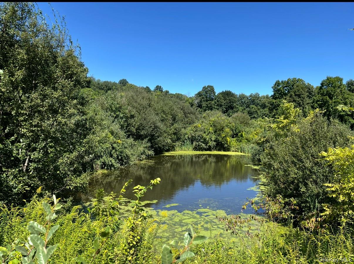 43 Kayla Lane, Mahopac, NY 10541