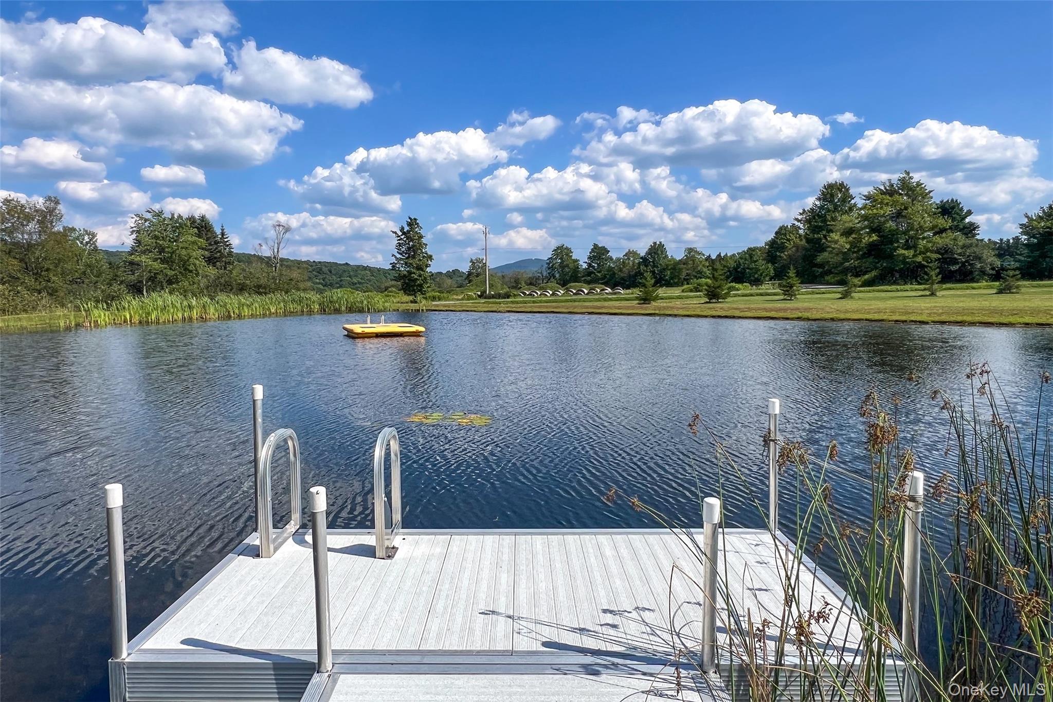 1025 Gaffey Road, Stamford, NY 12167