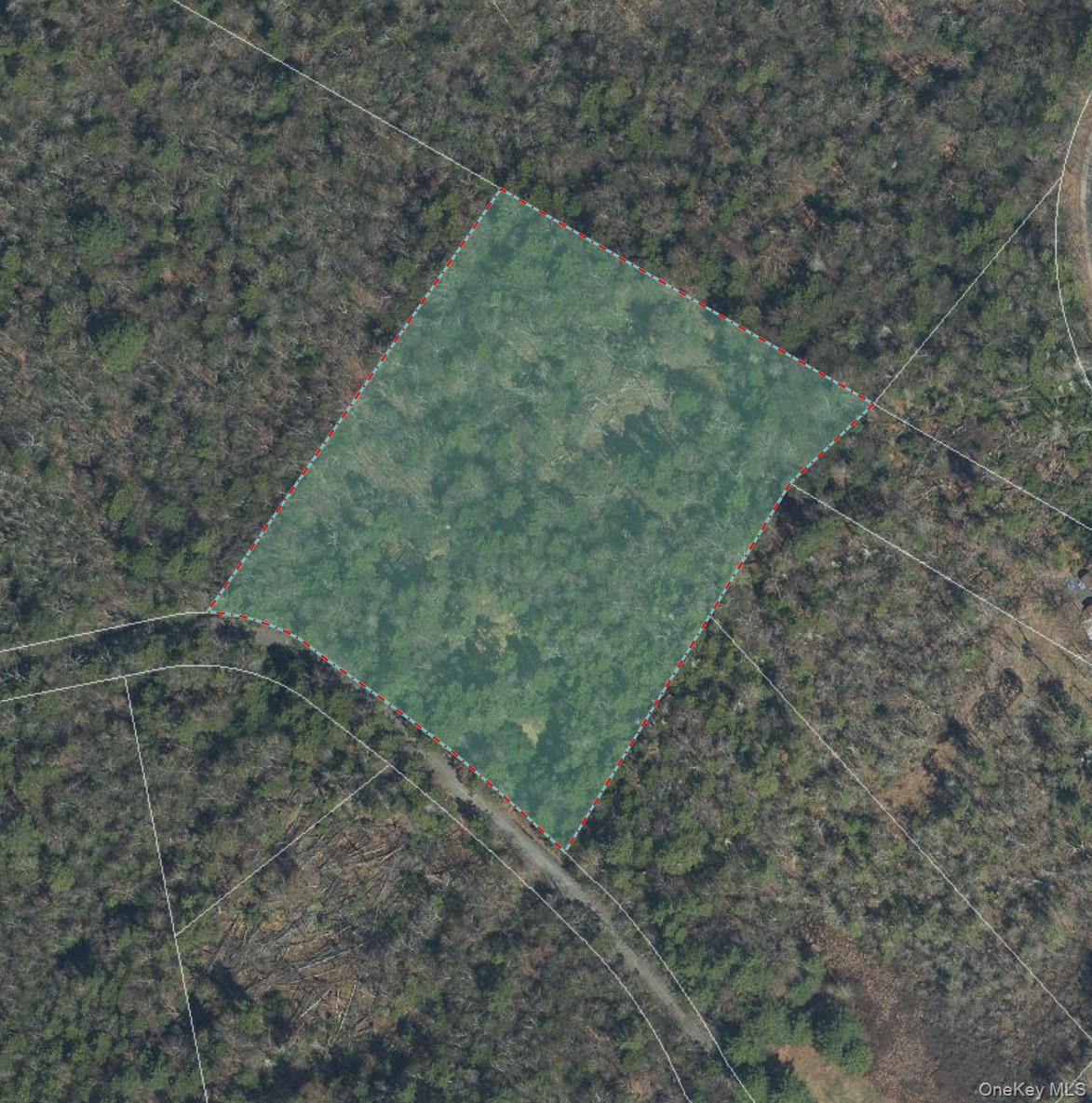 Diamond Road, Ellenville, NY 12428