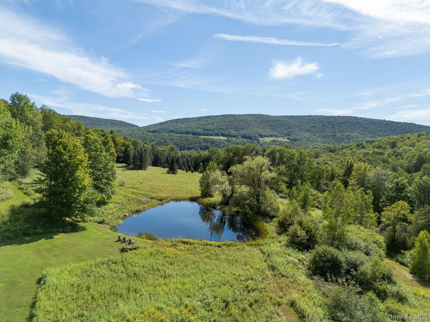 60 Alder Creek Road, Livingston Manor, NY 12758