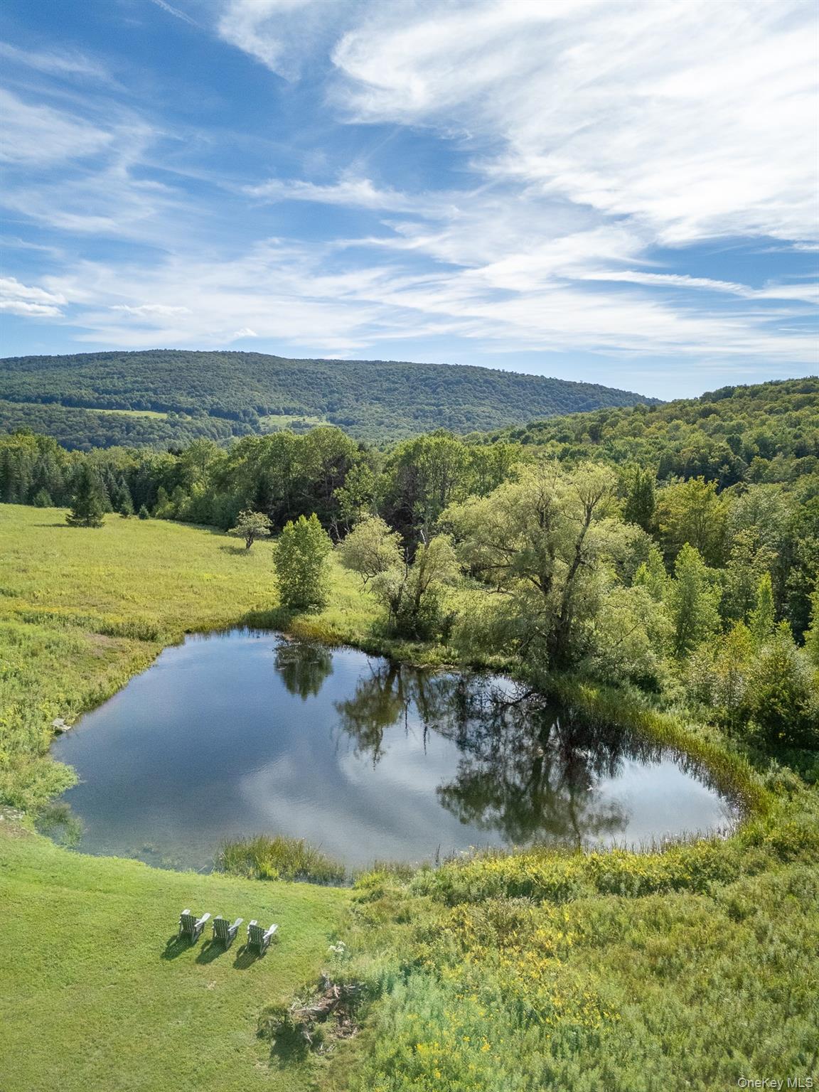 60 Alder Creek Road, Livingston Manor, NY 12758