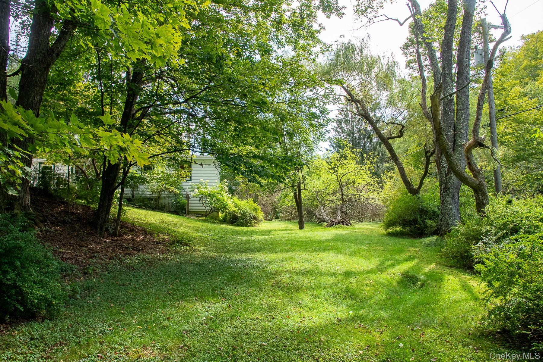 60 Alder Creek Road, Livingston Manor, NY 12758