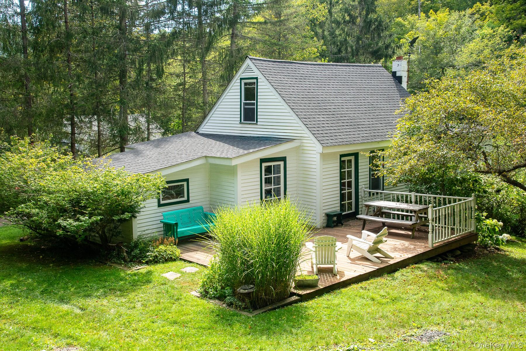 60 Alder Creek Road, Livingston Manor, NY 12758