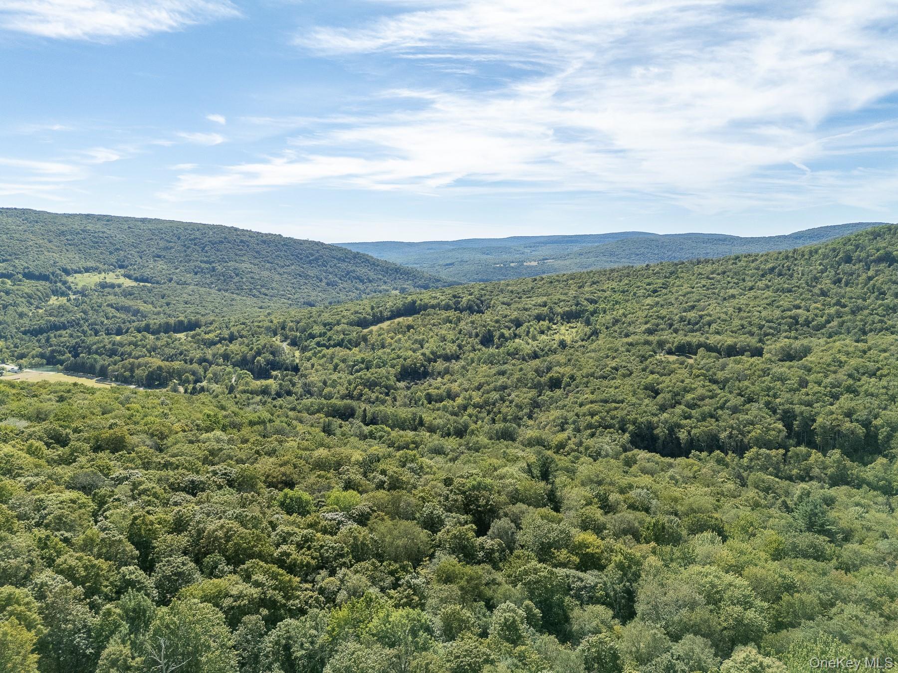 60 Alder Creek Road, Livingston Manor, NY 12758