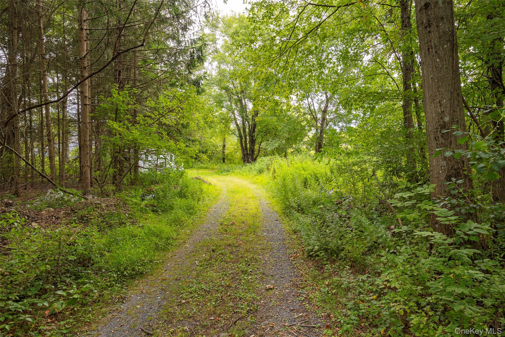 993 State Route 32, Wallkill, NY 12589