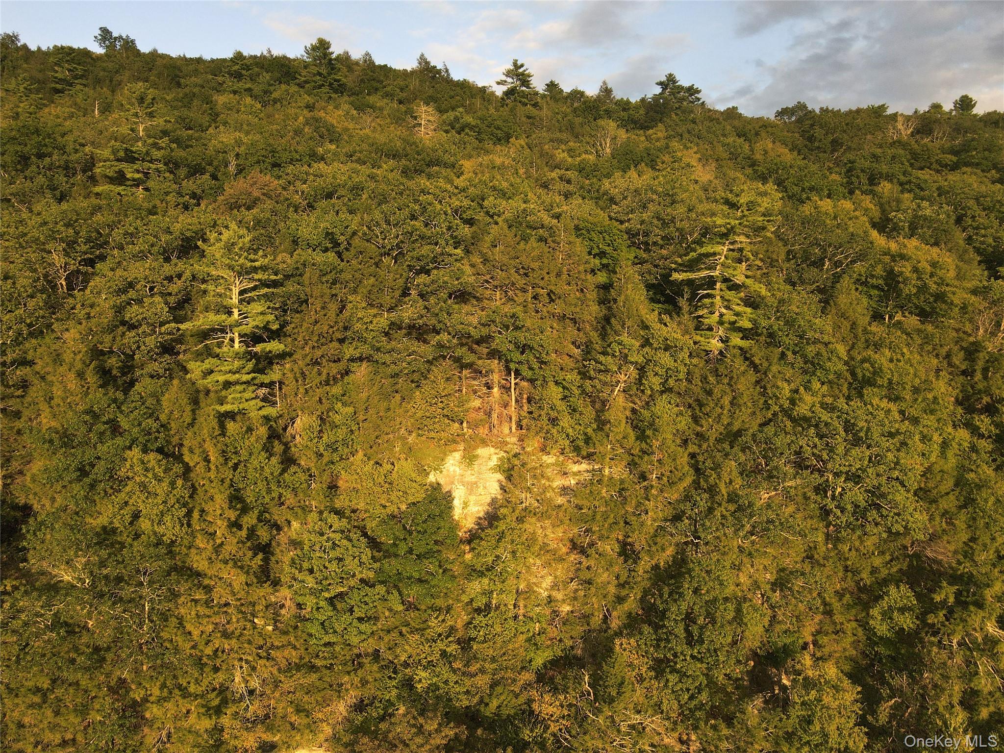 Zane Grey Way, Barryville, NY 12719