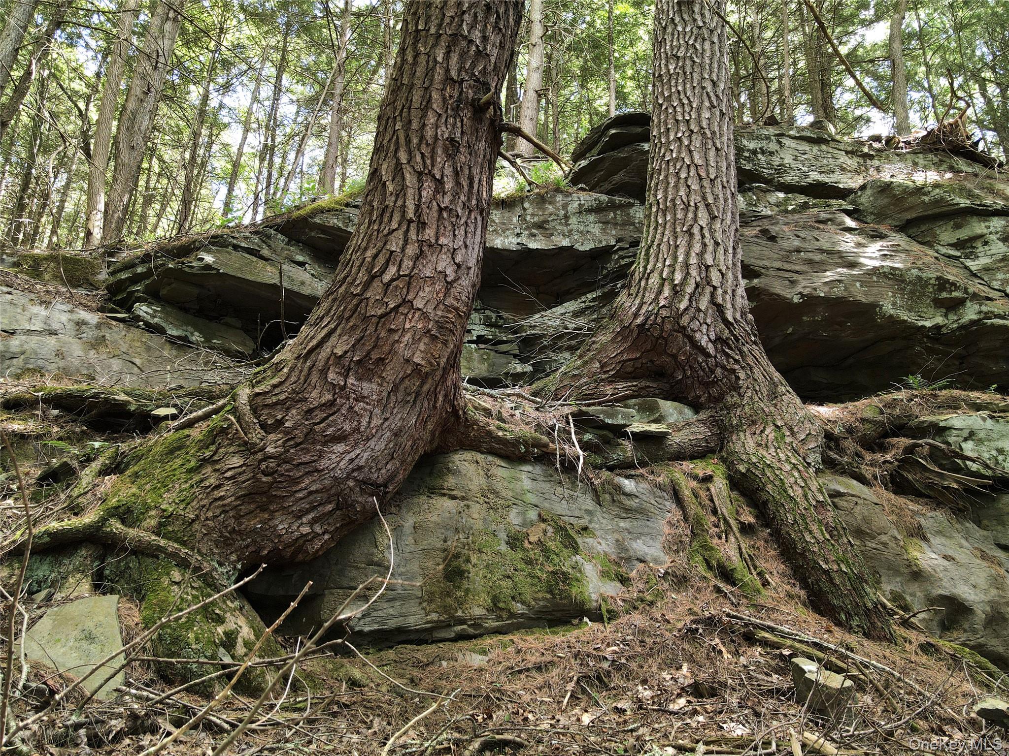 Zane Grey Way, Barryville, NY 12719