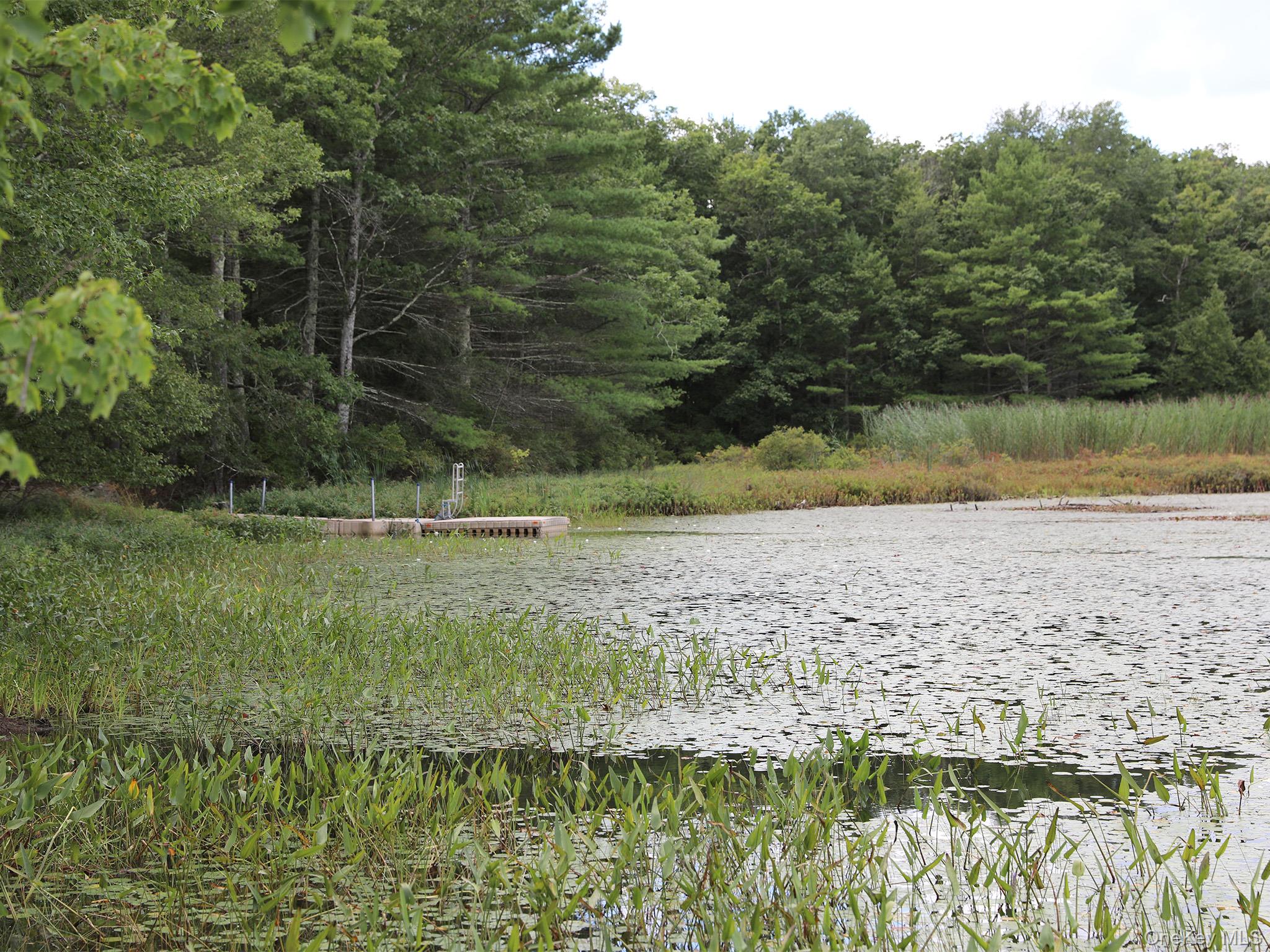 Zane Grey Way, Barryville, NY 12719