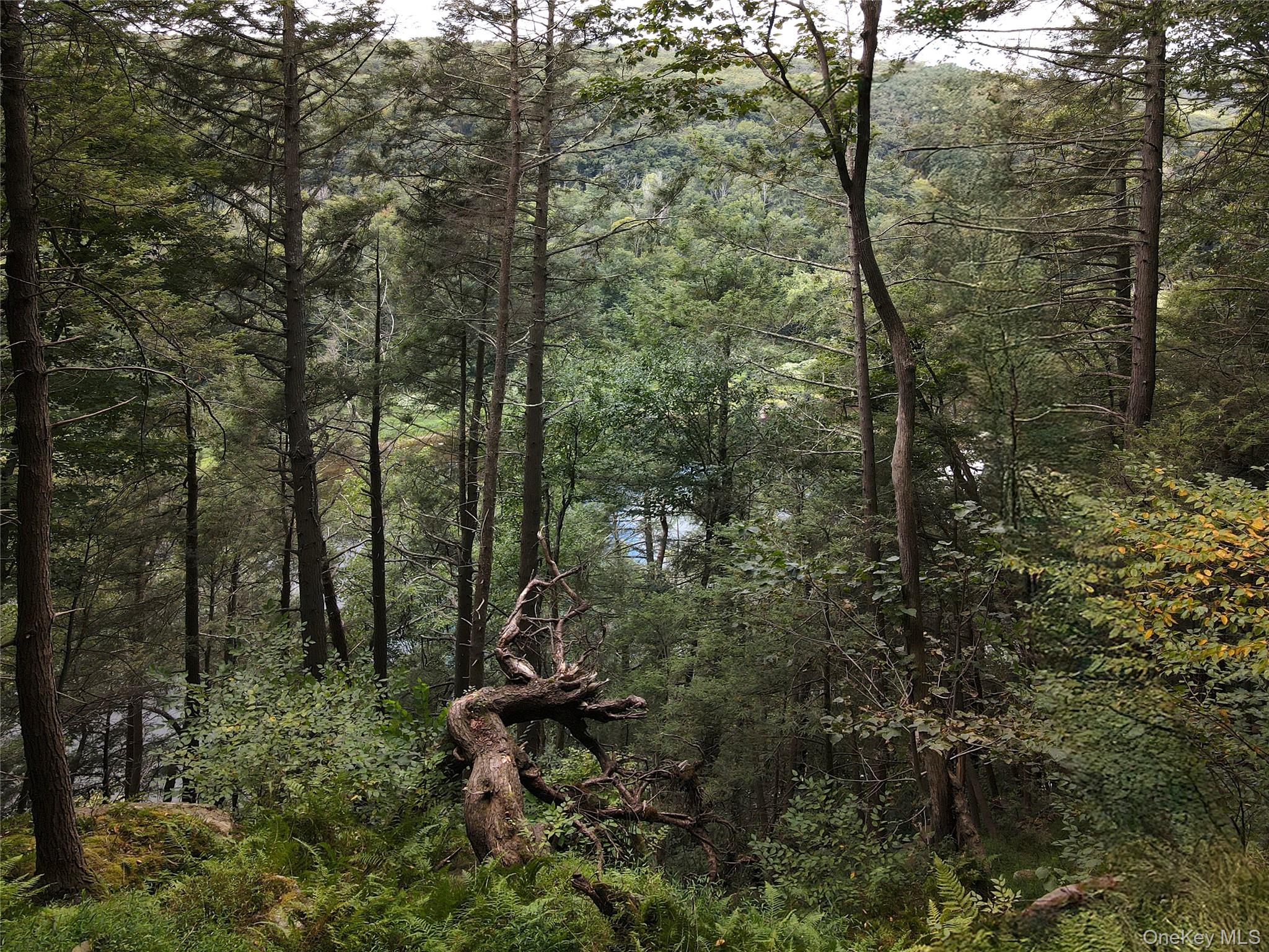 Zane Grey Way, Barryville, NY 12719