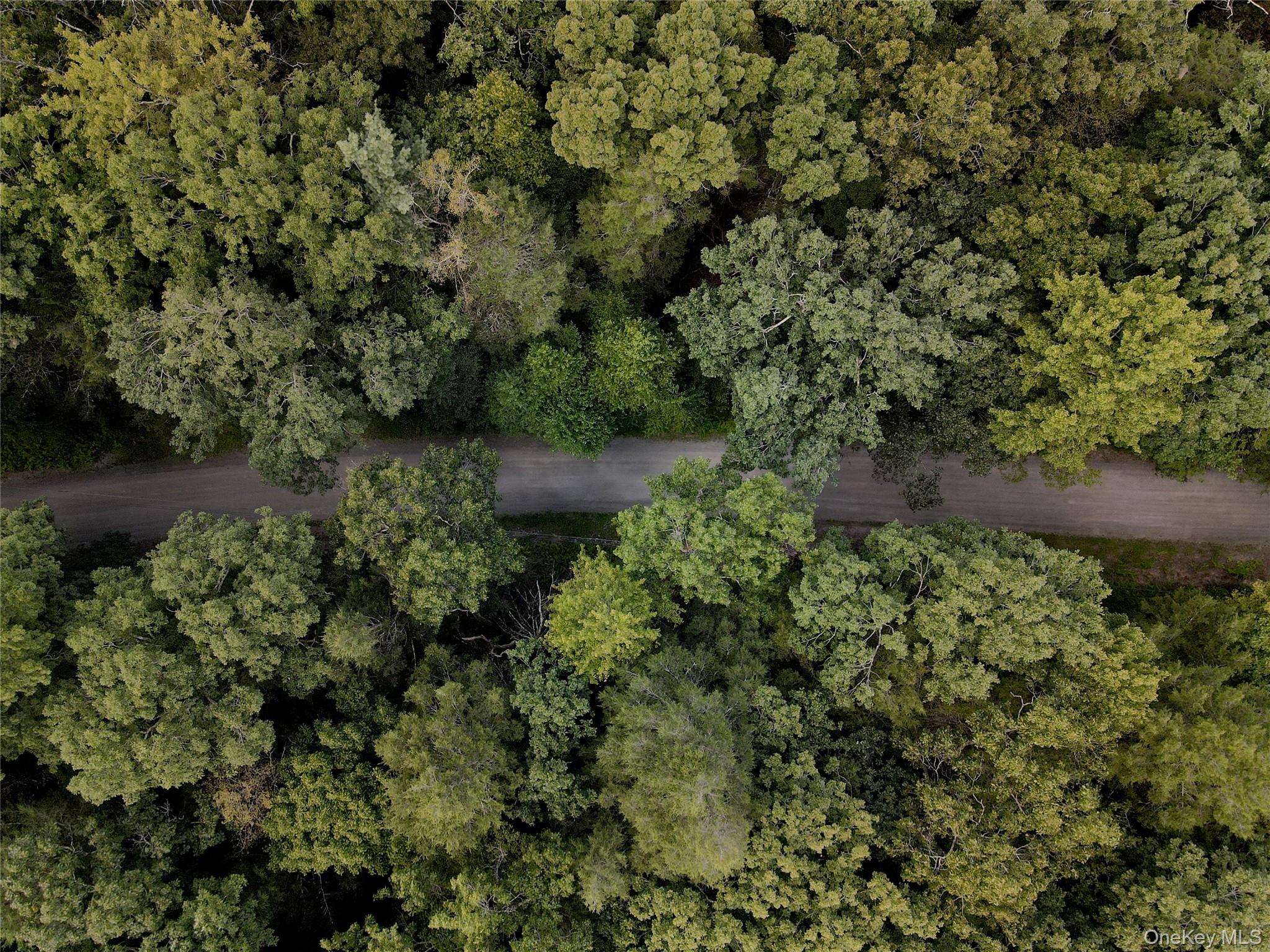 Zane Grey Way, Barryville, NY 12719