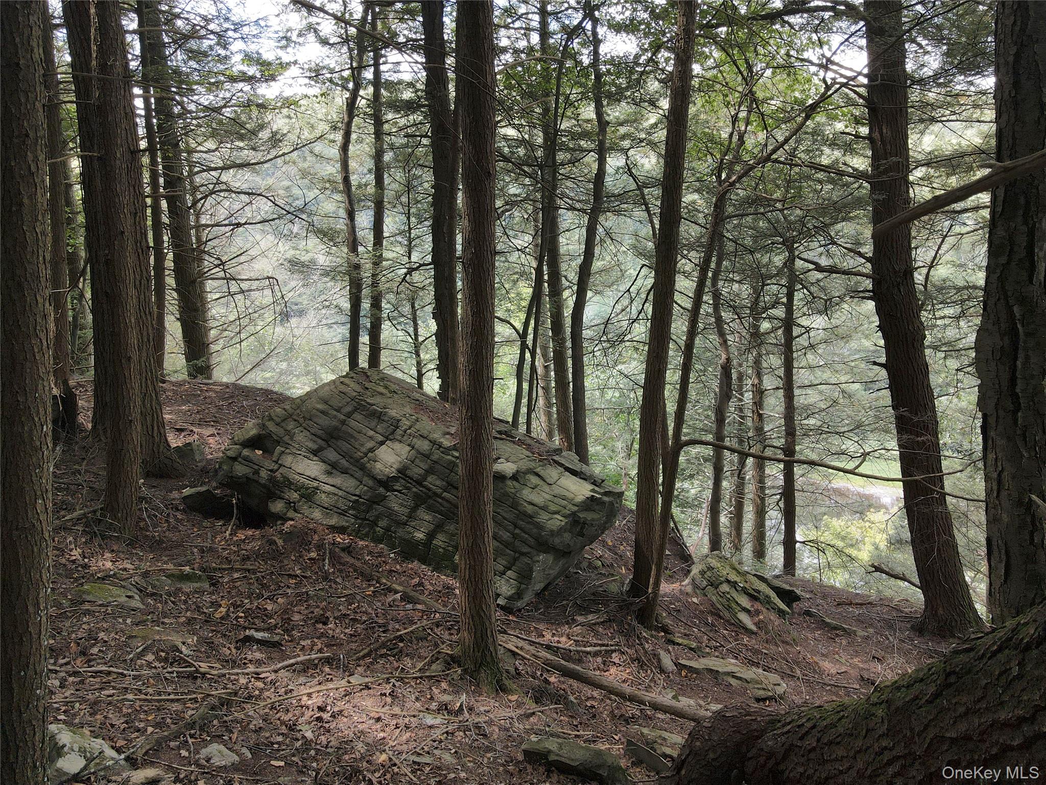 Zane Grey Way, Barryville, NY 12719