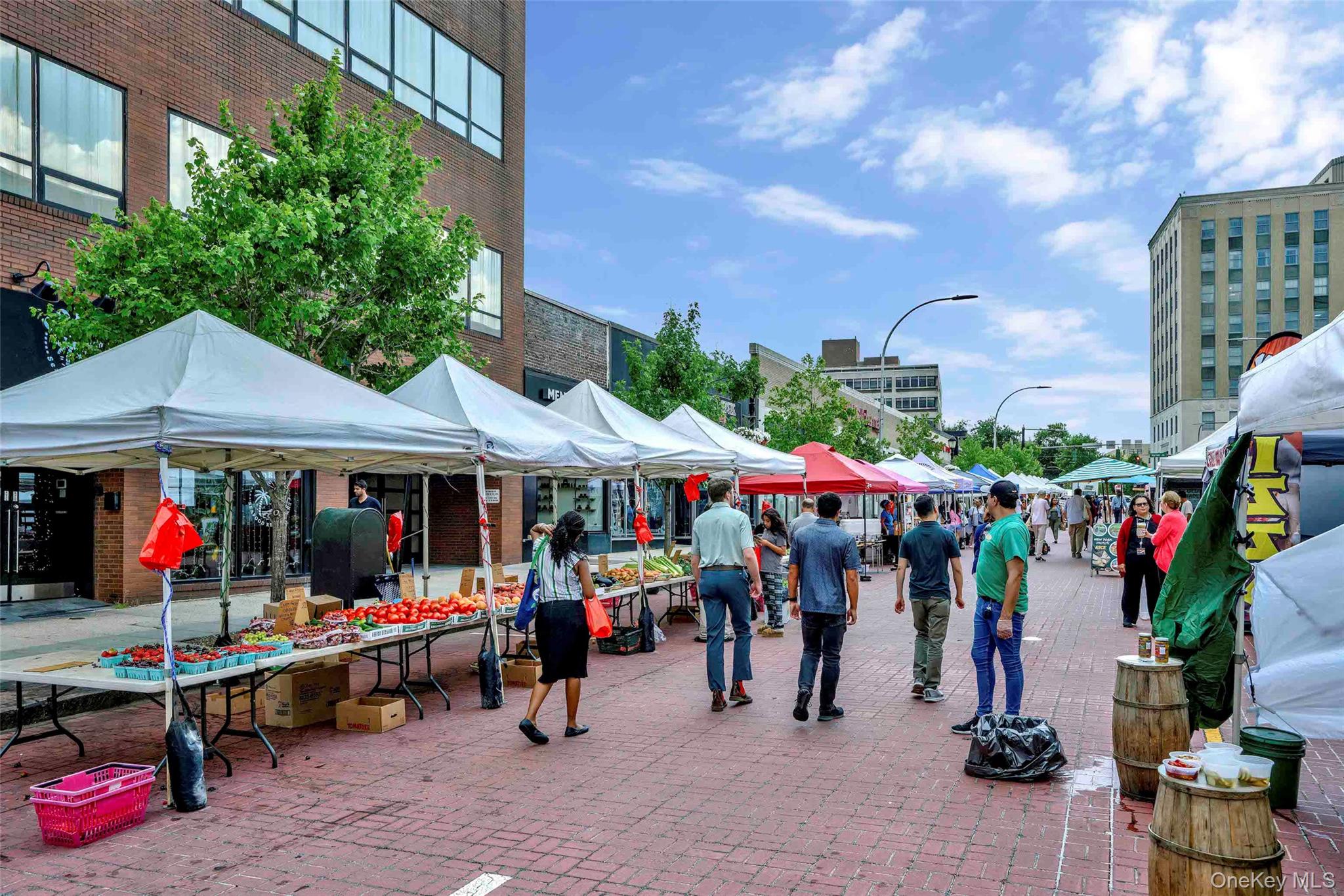 12 Westchester Avenue # 3K, White Plains, NY 10601