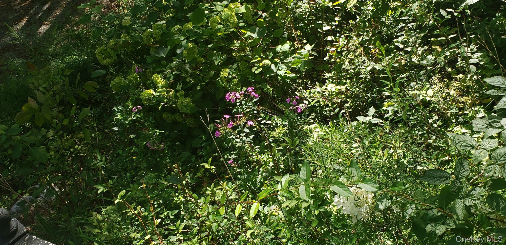 33 Rocky Trail, Wurtsboro, NY 12790