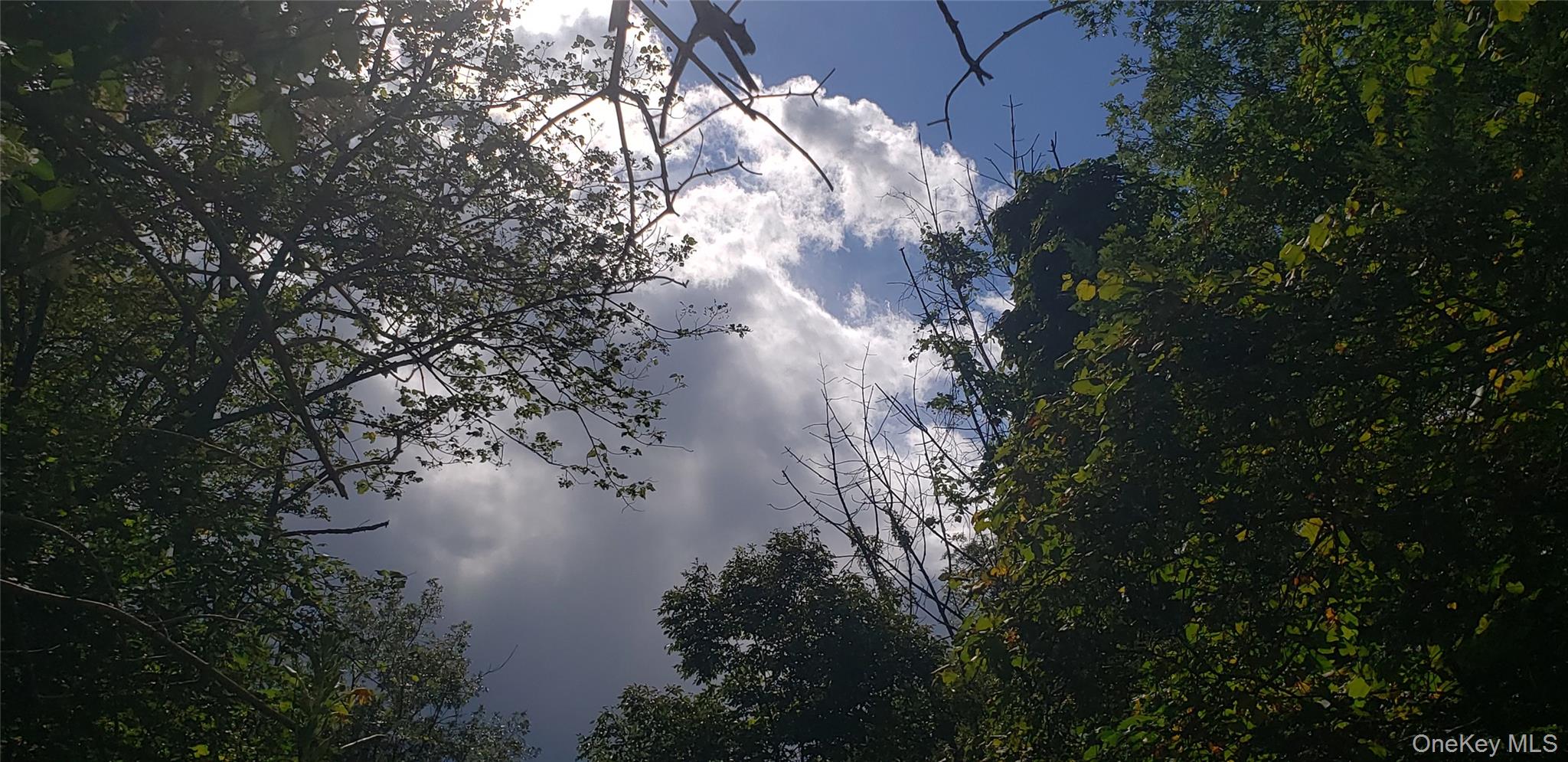 33 Rocky Trail, Wurtsboro, NY 12790