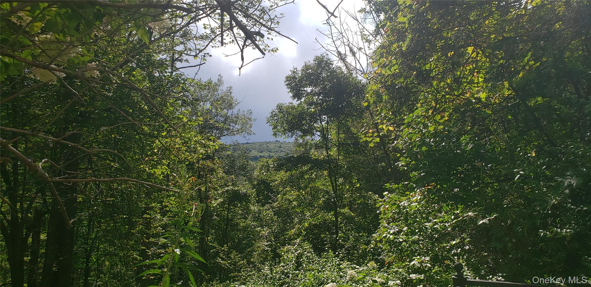 33 Rocky Trail, Wurtsboro, NY 12790