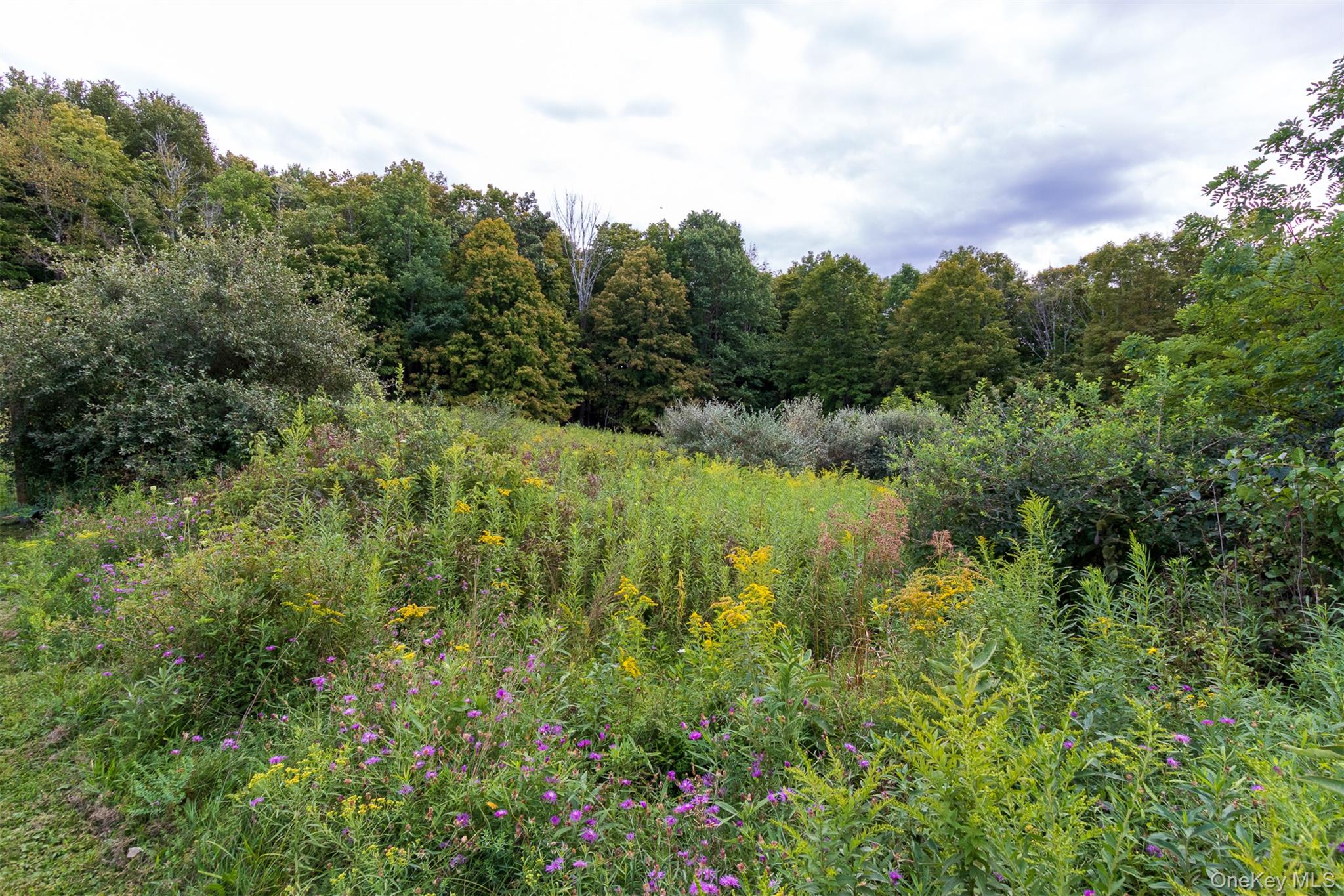 292 Battenfeld Road, Red Hook, NY 12571