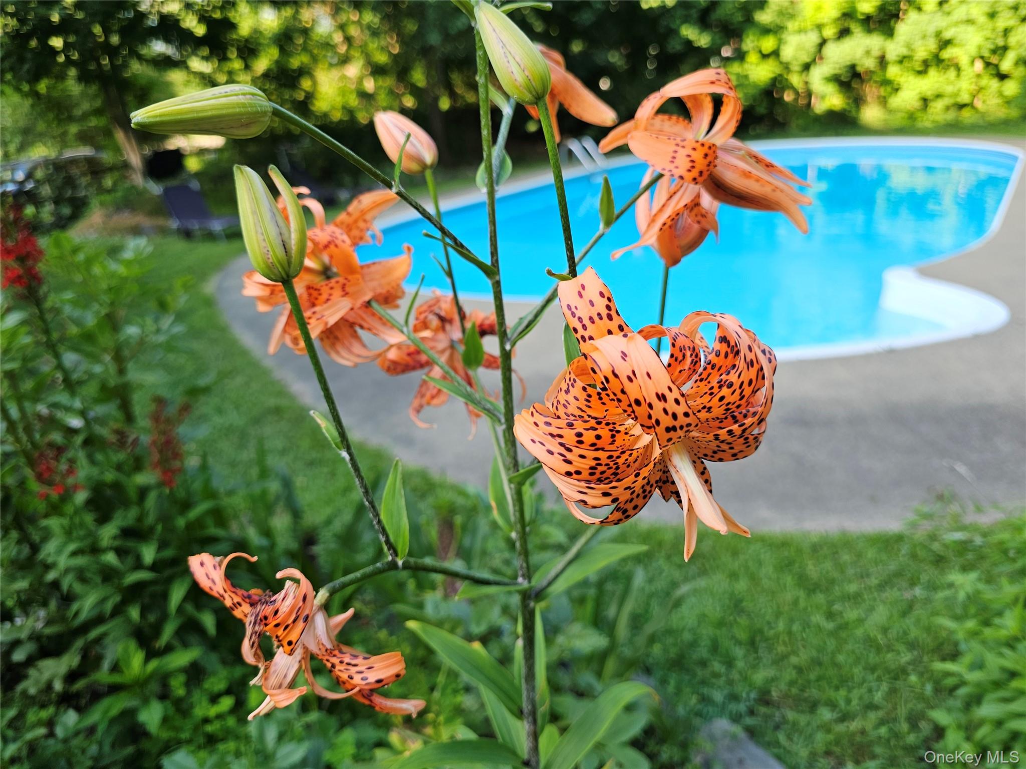 597 Route 212, Saugerties, NY 12477