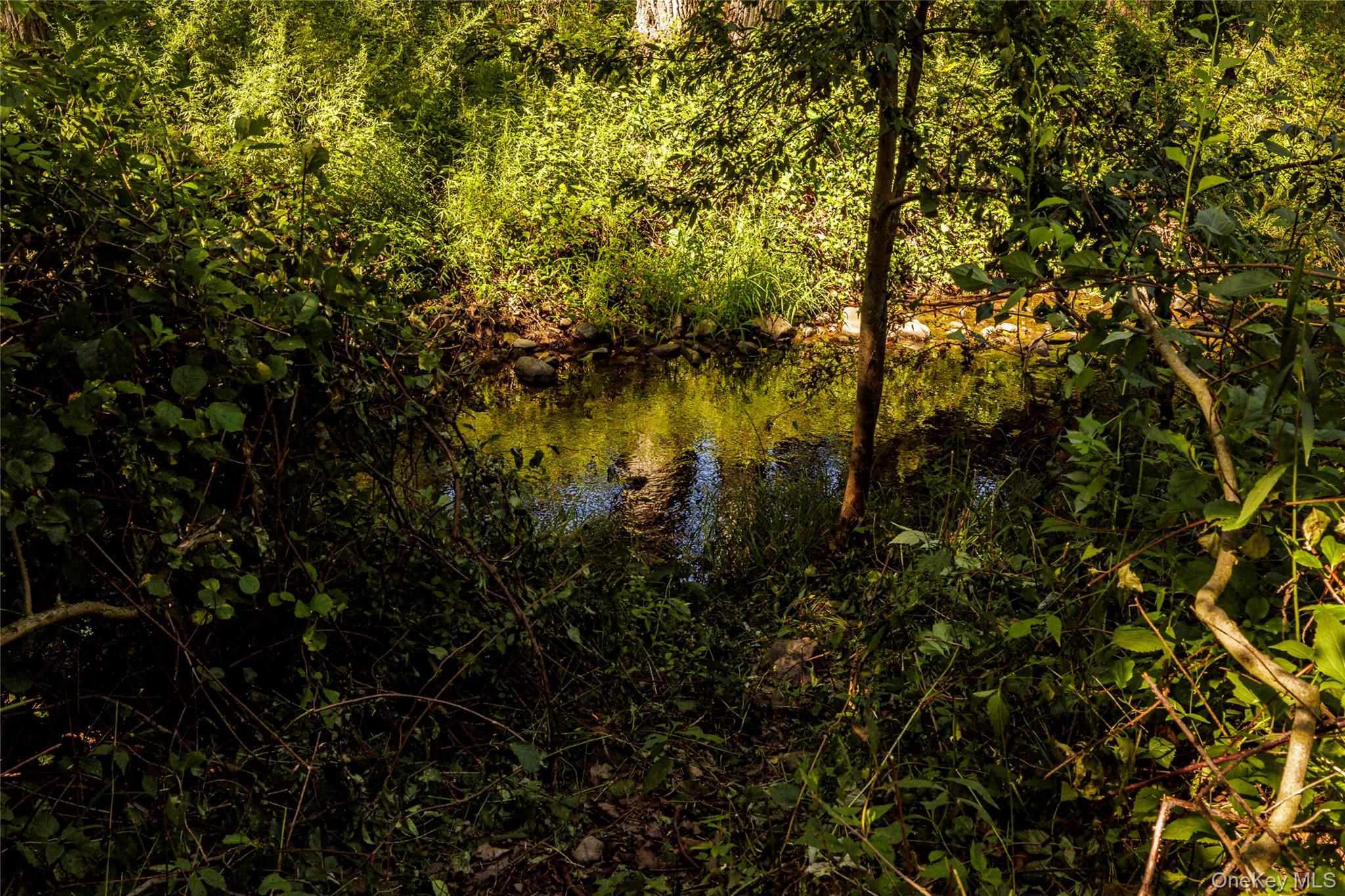 28 Green Brook Drive, Chatham, NY 12024