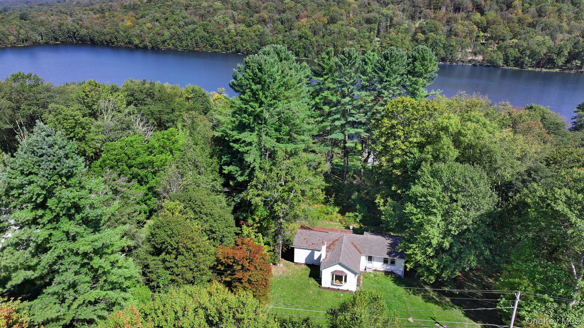 1463 Briscoe Road, Swan Lake, NY 12783