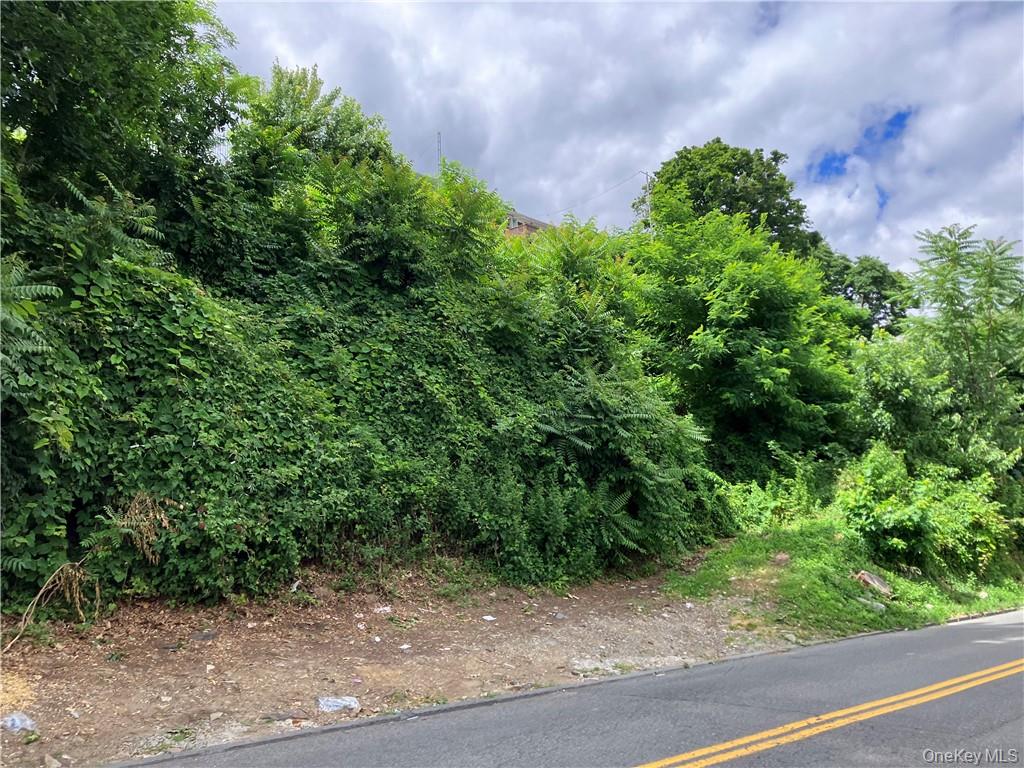 127 -133 Frederic Street, Yonkers, NY 10703