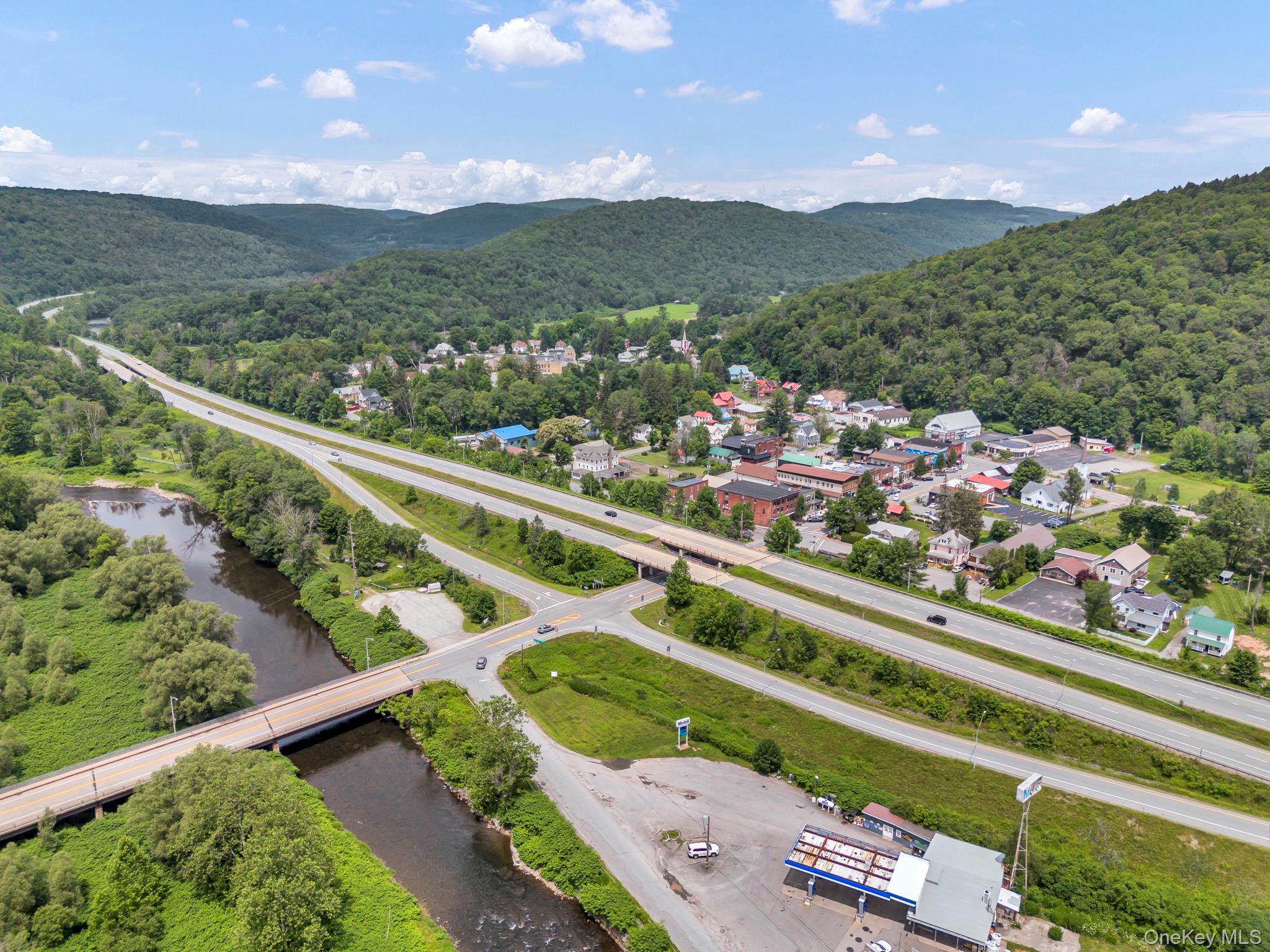 1959 Old Route 17, Roscoe, NY 12776