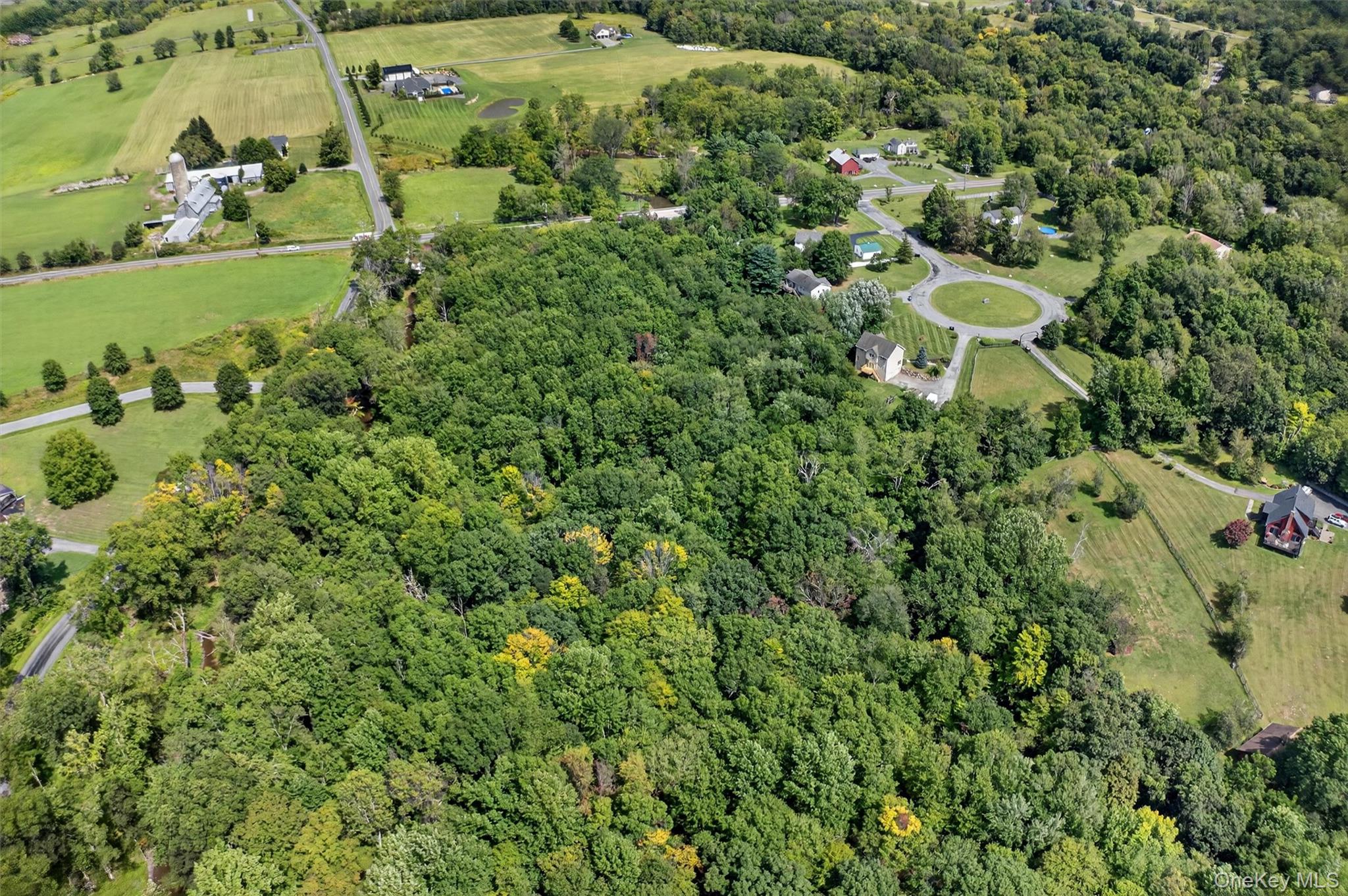 22 Dwaarkill Farms Court, Pine Bush, NY 12566