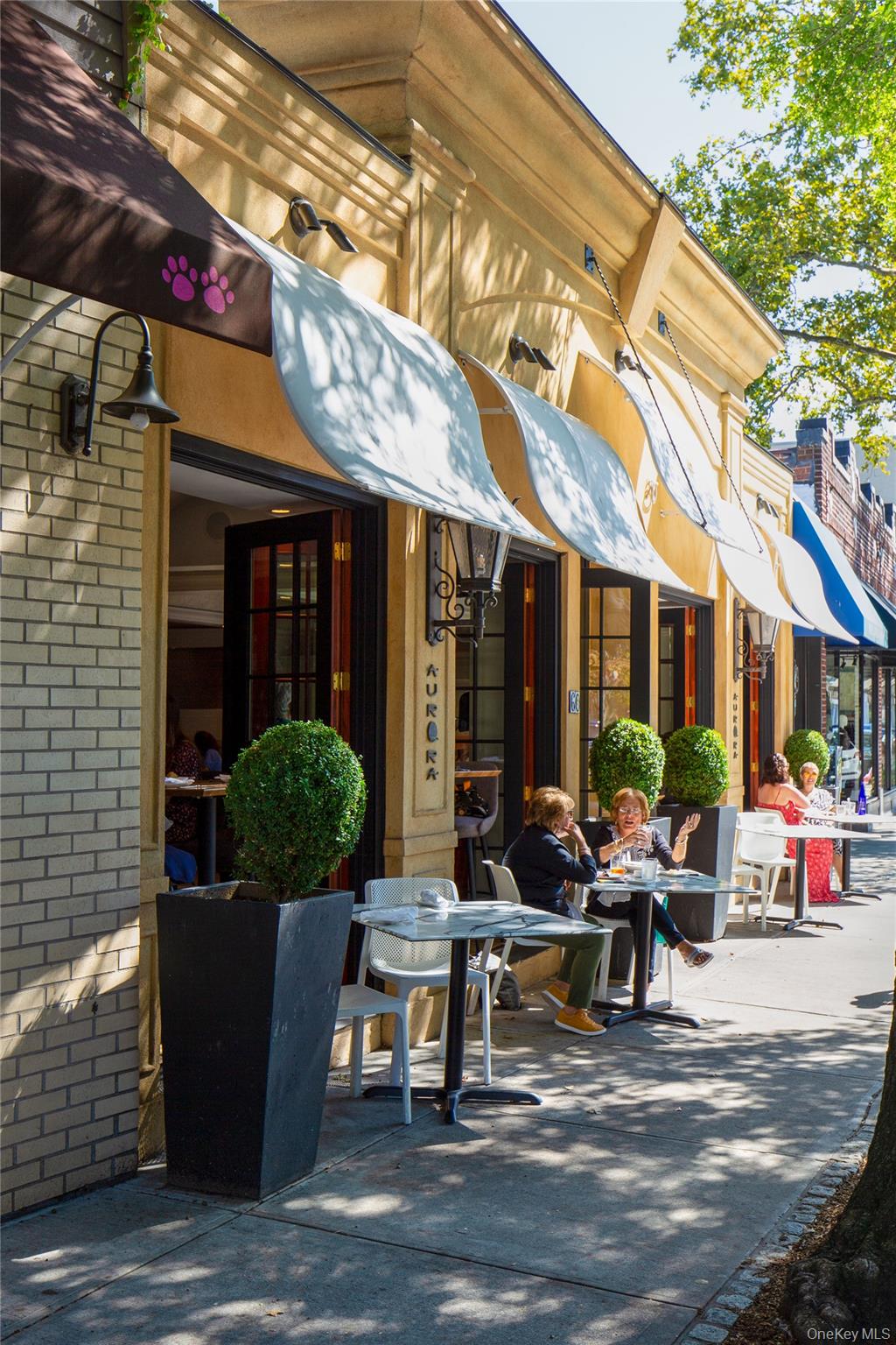 21 Thorne Place, Rye, NY 10580