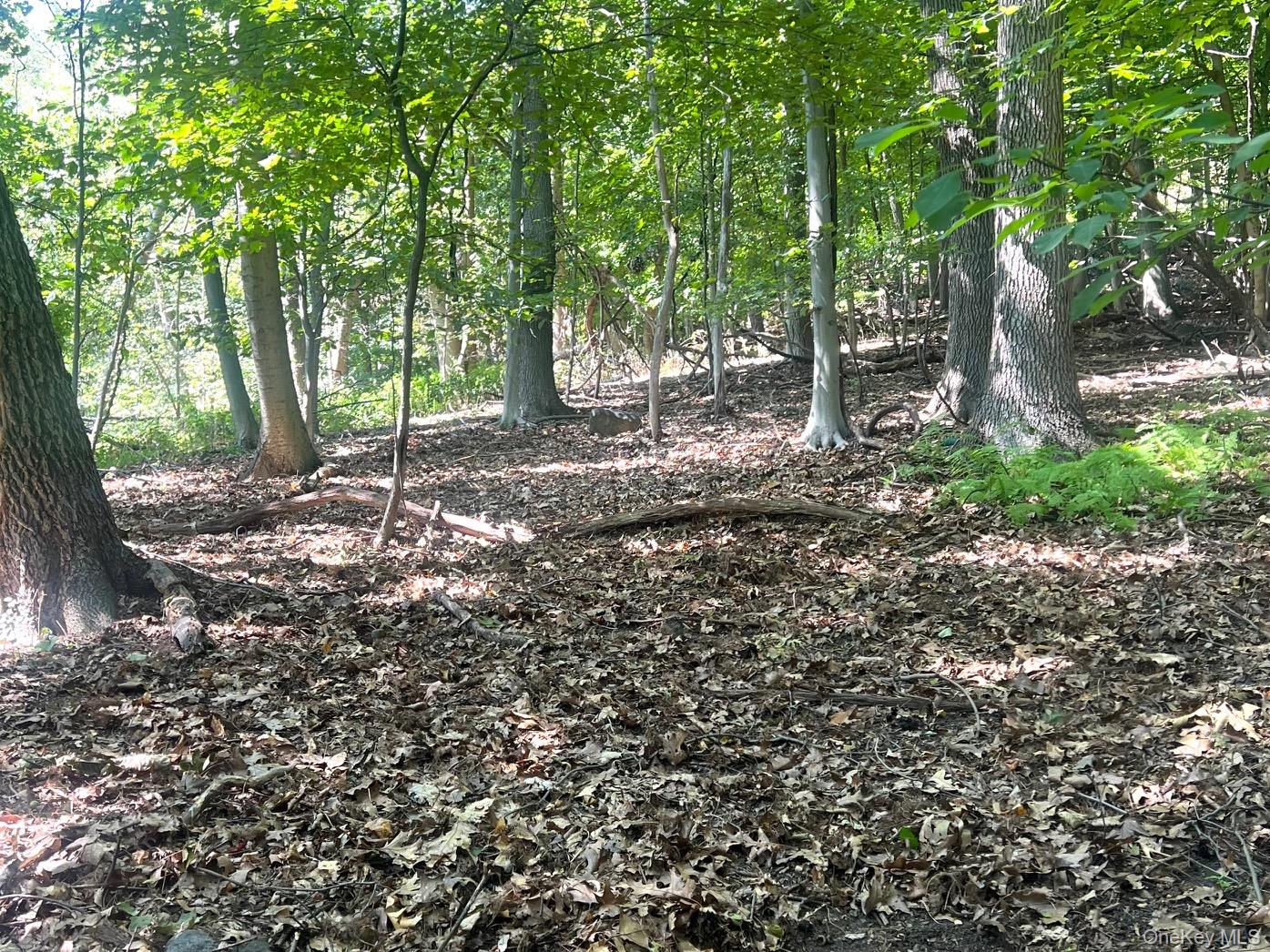 903 Route 9W S, Nyack, NY 10960