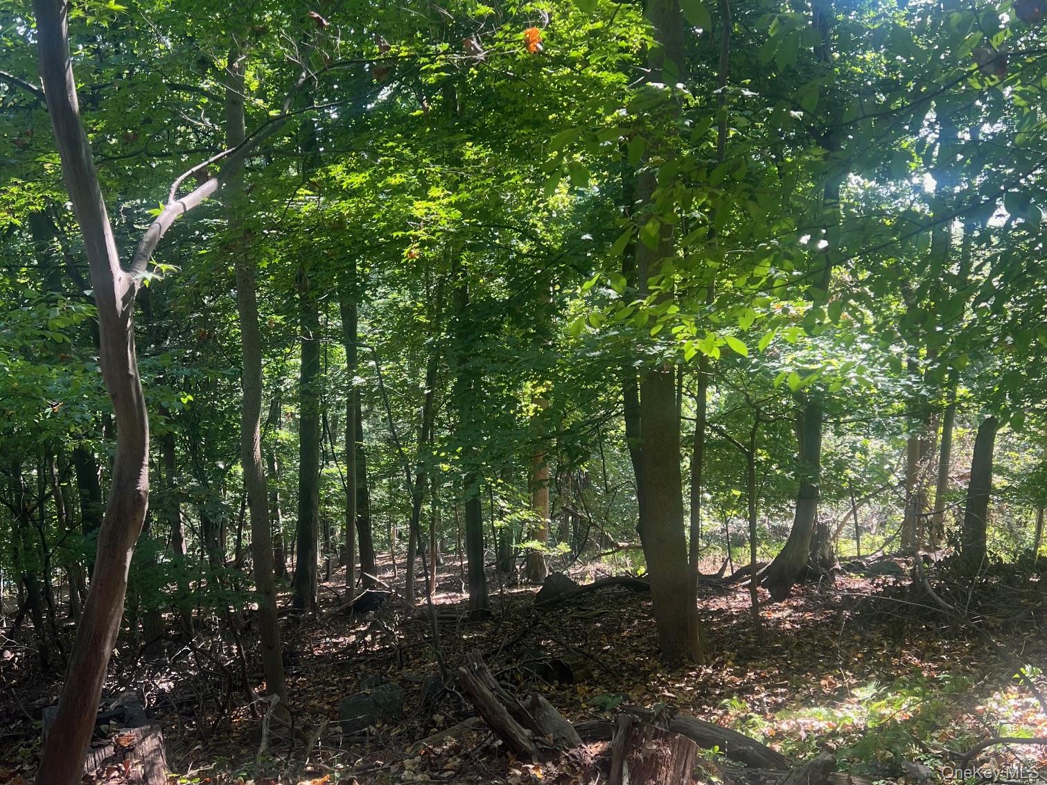 903 Route 9W S, Nyack, NY 10960