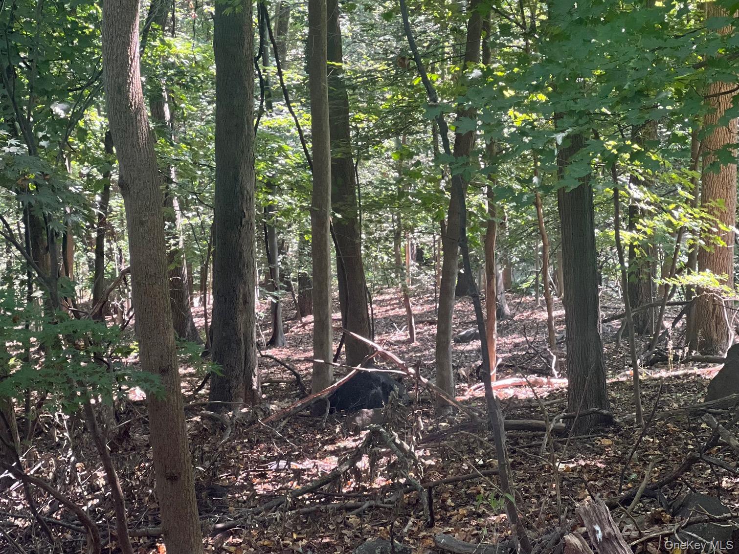 903 Route 9W S, Nyack, NY 10960