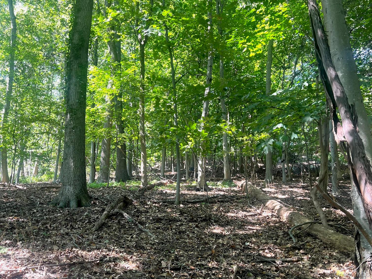 903 Route 9W S, Nyack, NY 10960