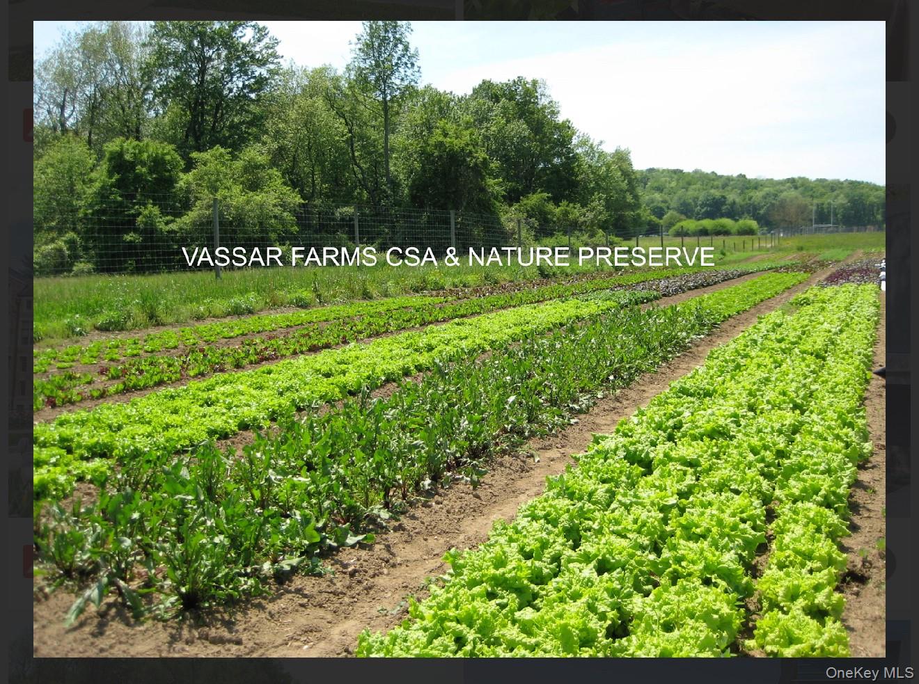 172 Swan Lane, Poughkeepsie, NY 12603