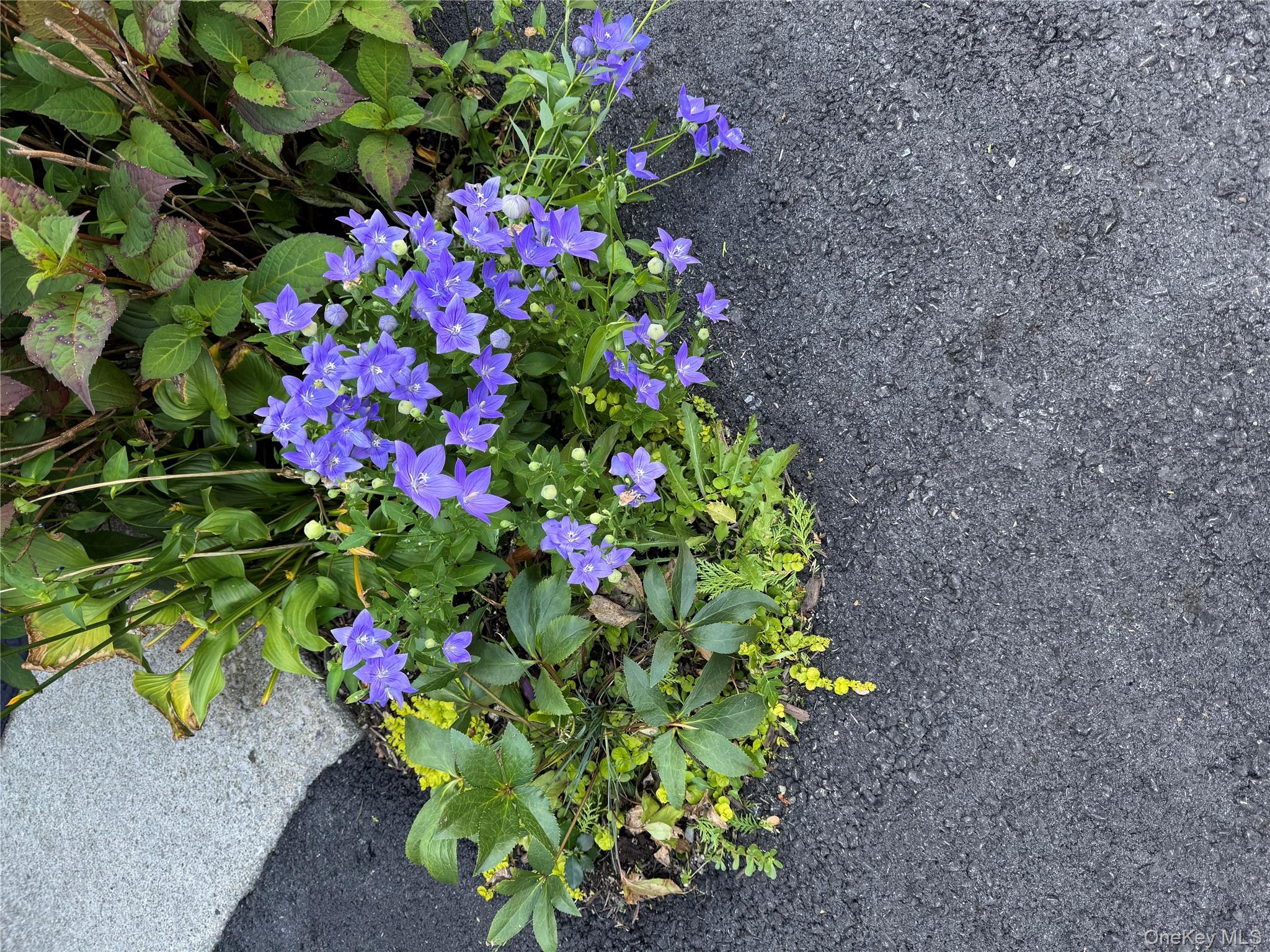 172 Swan Lane, Poughkeepsie, NY 12603