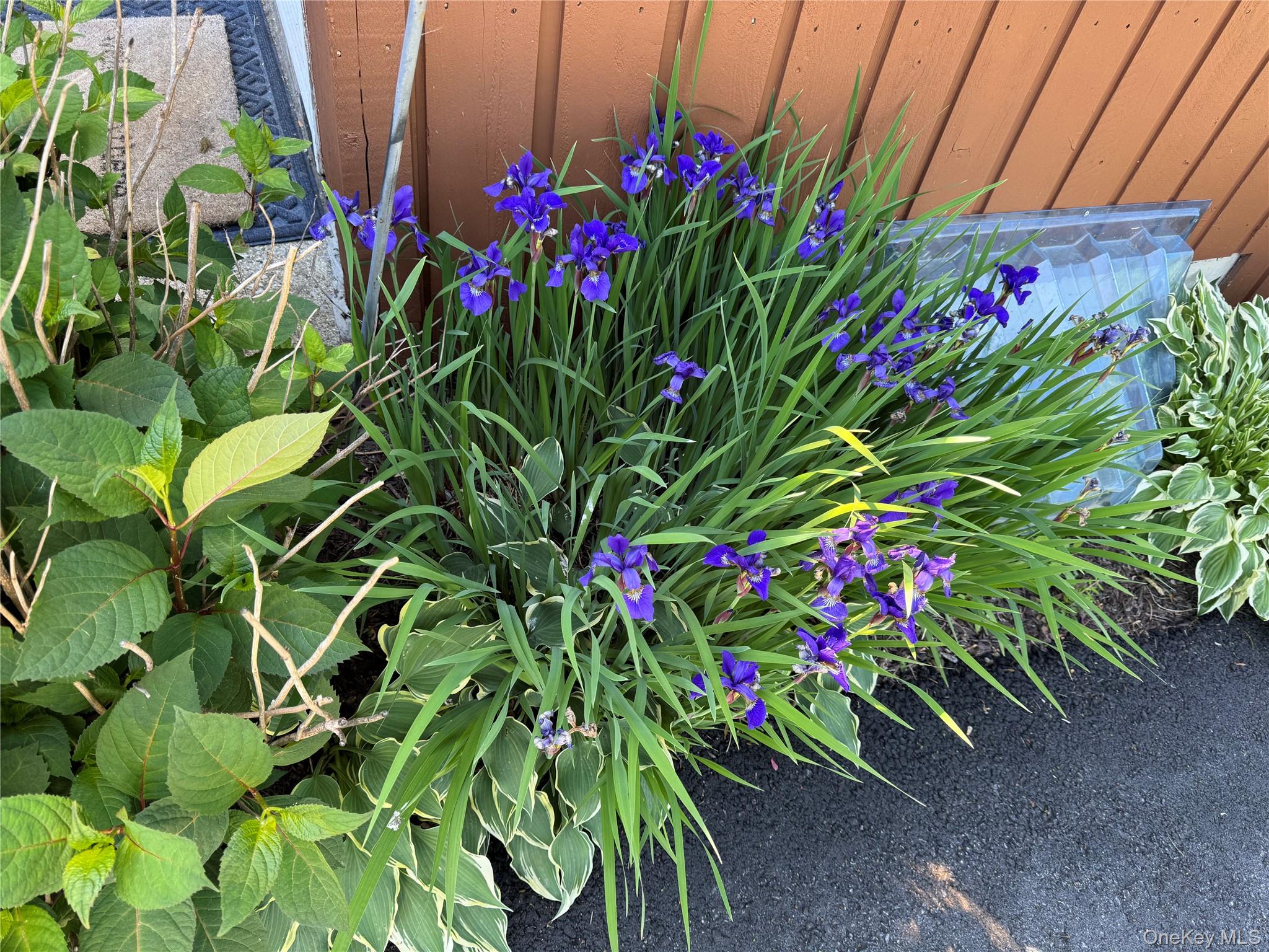 172 Swan Lane, Poughkeepsie, NY 12603