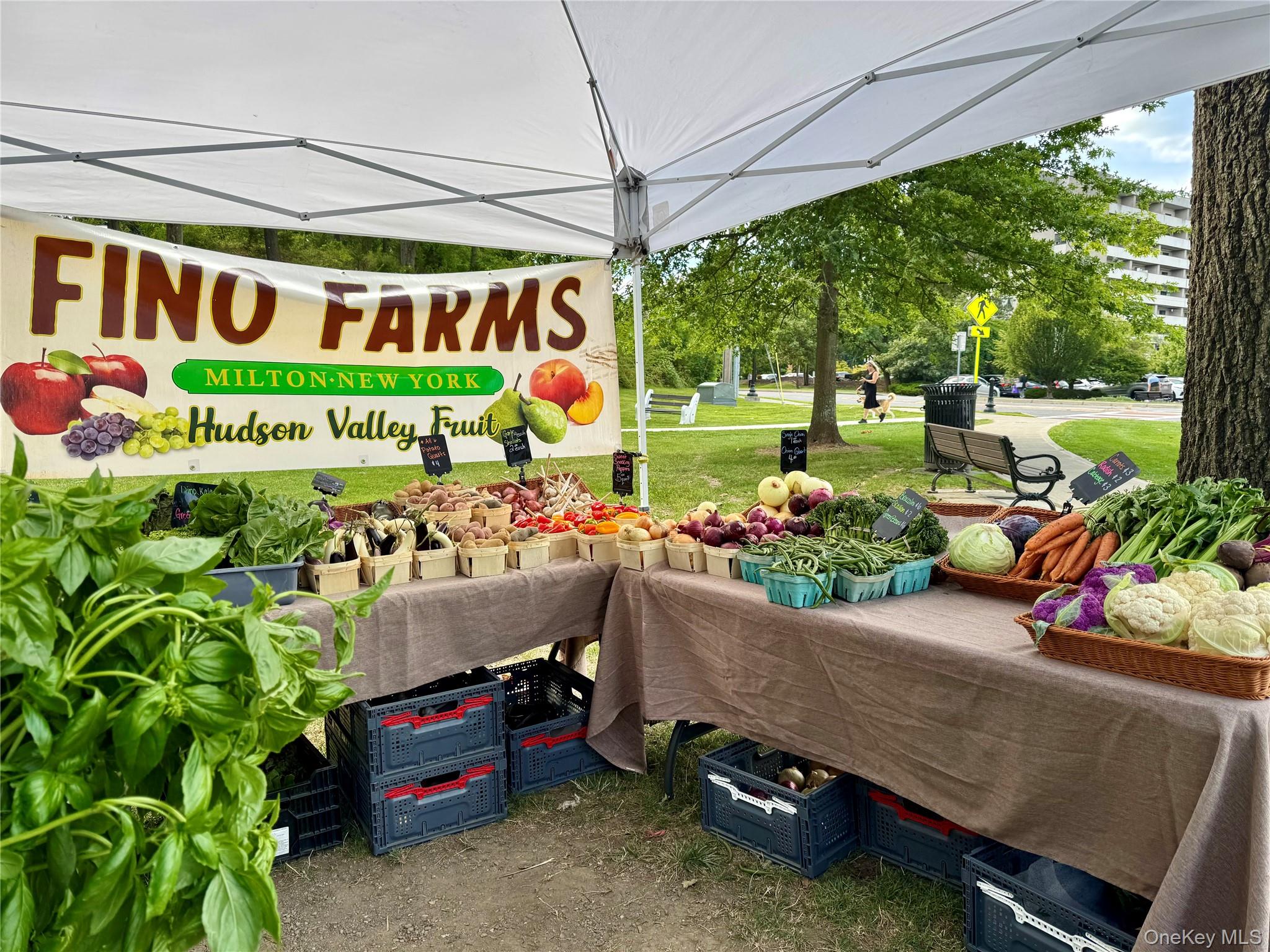 172 Swan Lane, Poughkeepsie, NY 12603