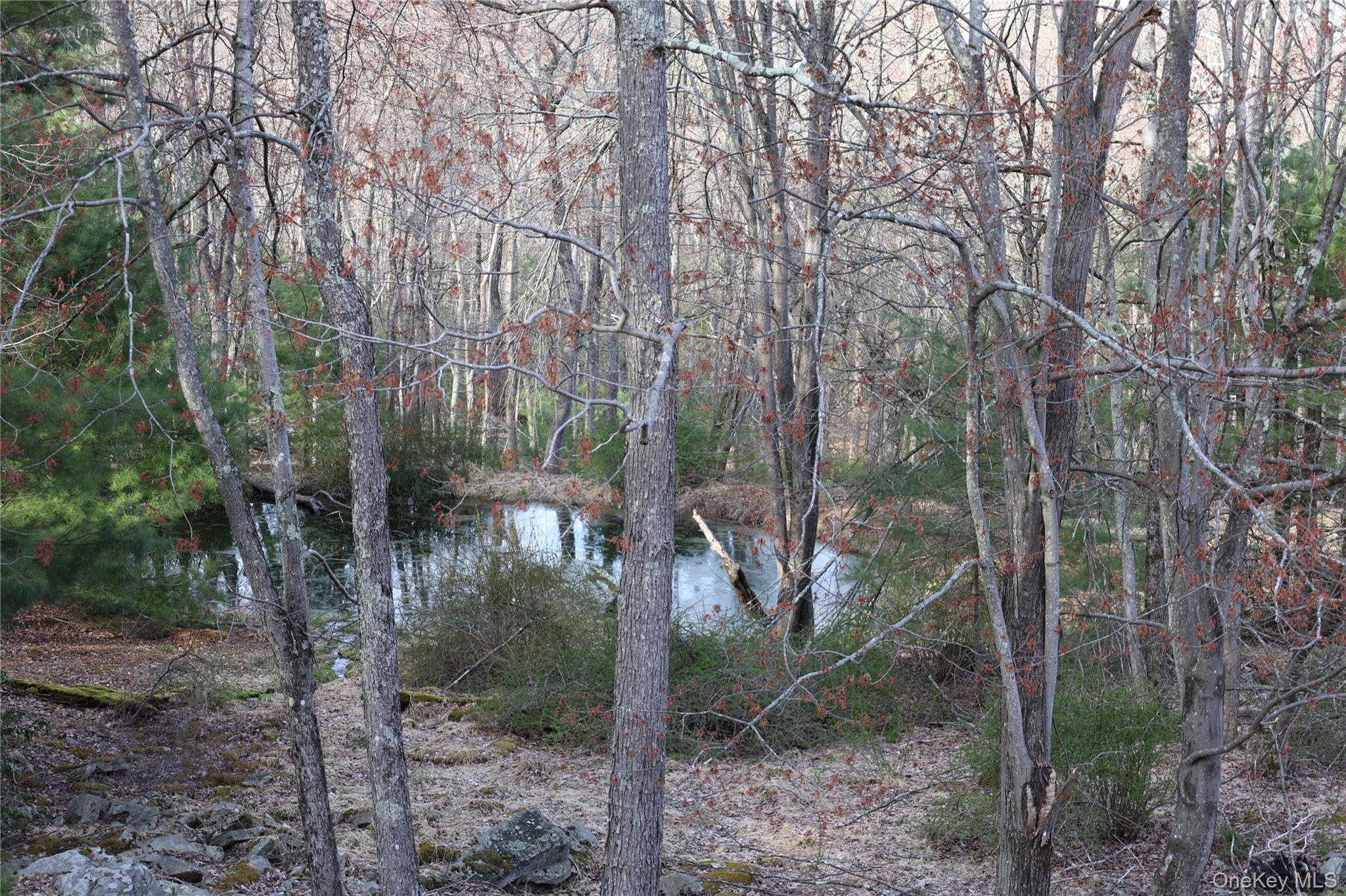 47 Australia Road, Glen Spey, NY 12737