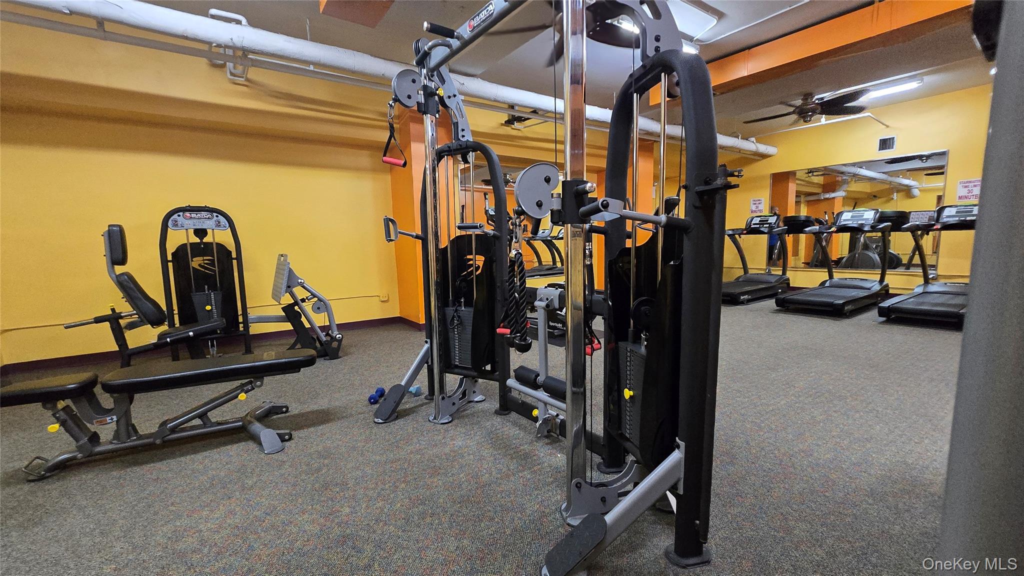 175-20 Wexford Terrace # 3S, Jamaica Estates, NY 11432