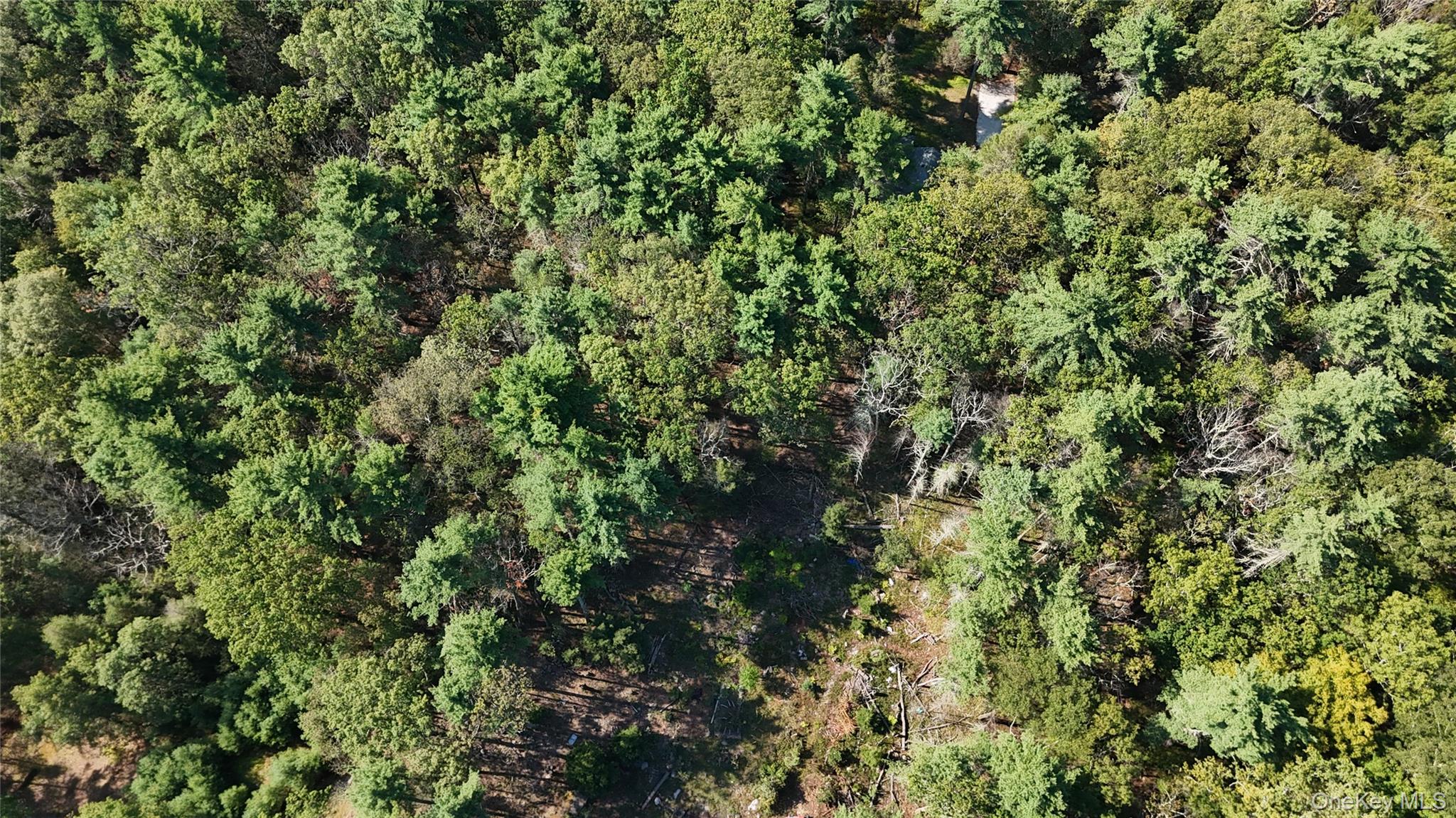 53 Deer Hill Road, Wurtsboro, NY 12790