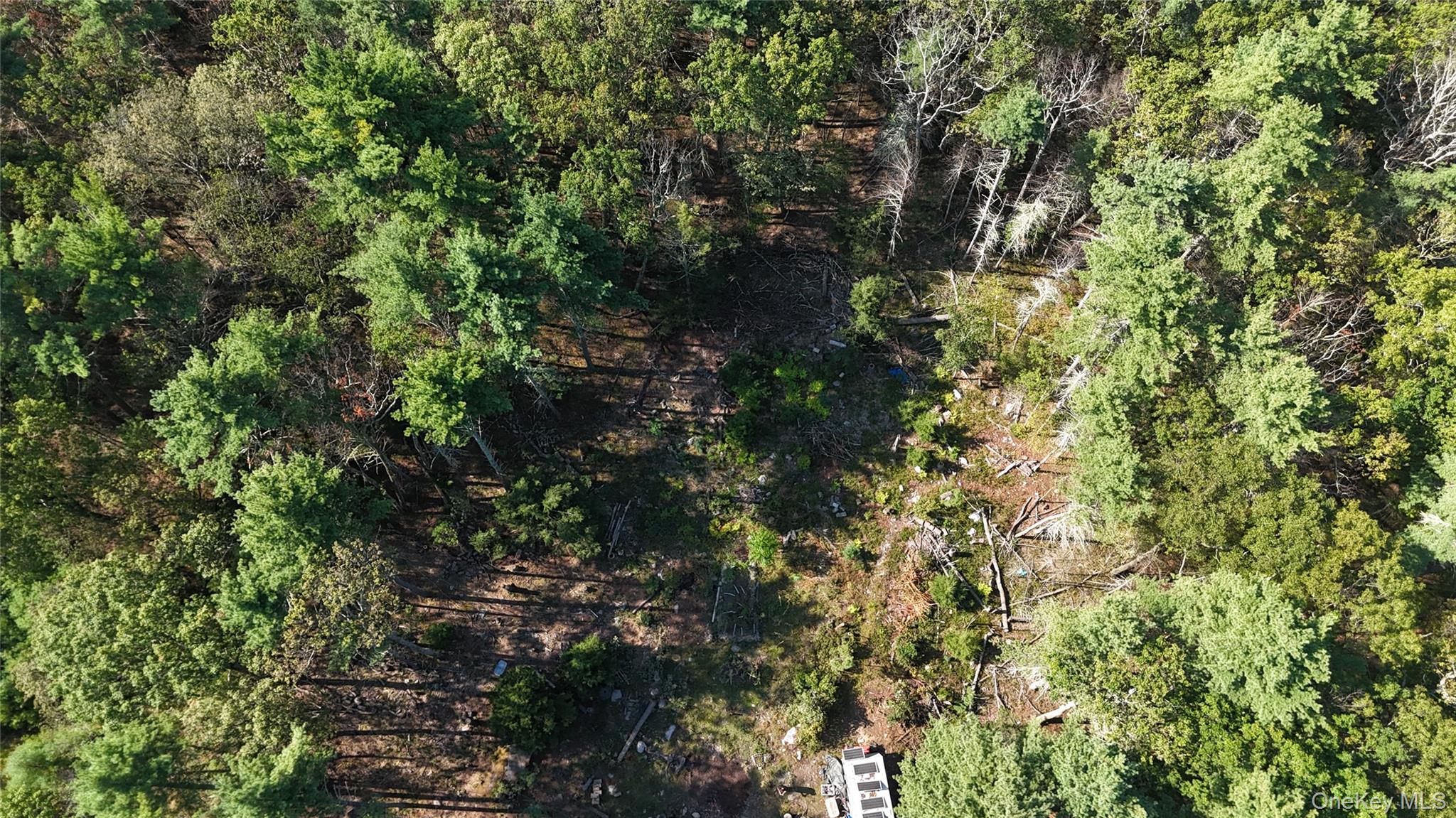 53 Deer Hill Road, Wurtsboro, NY 12790