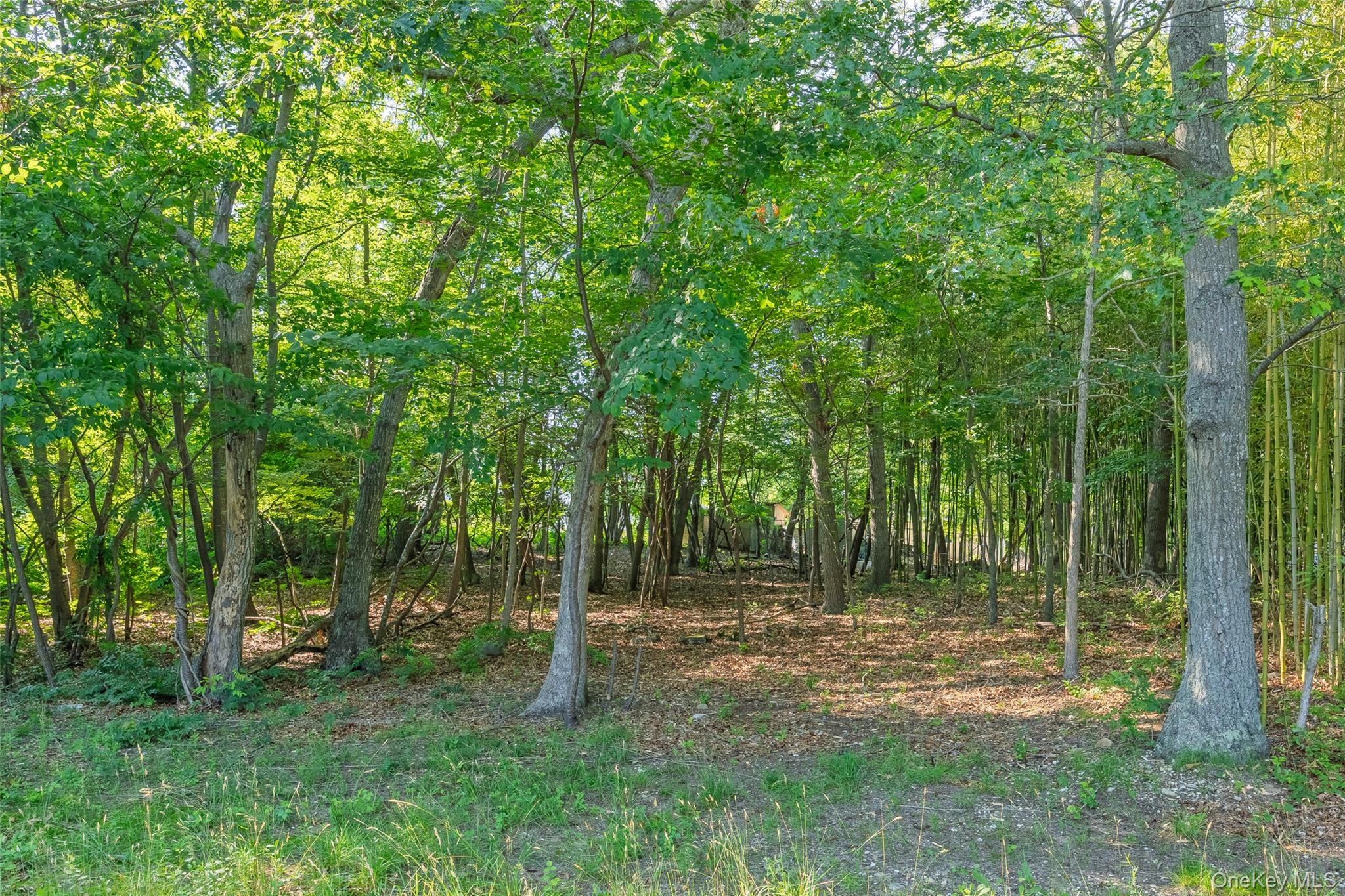 11 Seymour Lane, Medford, NY 11763