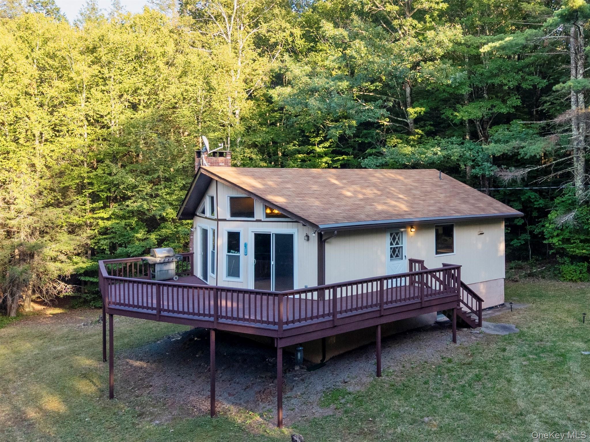 321 Terrace Drive, Prattsville, NY 12452