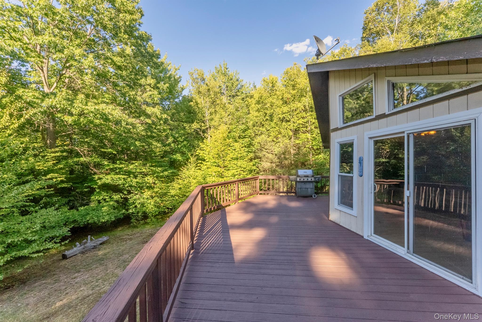 321 Terrace Drive, Prattsville, NY 12452