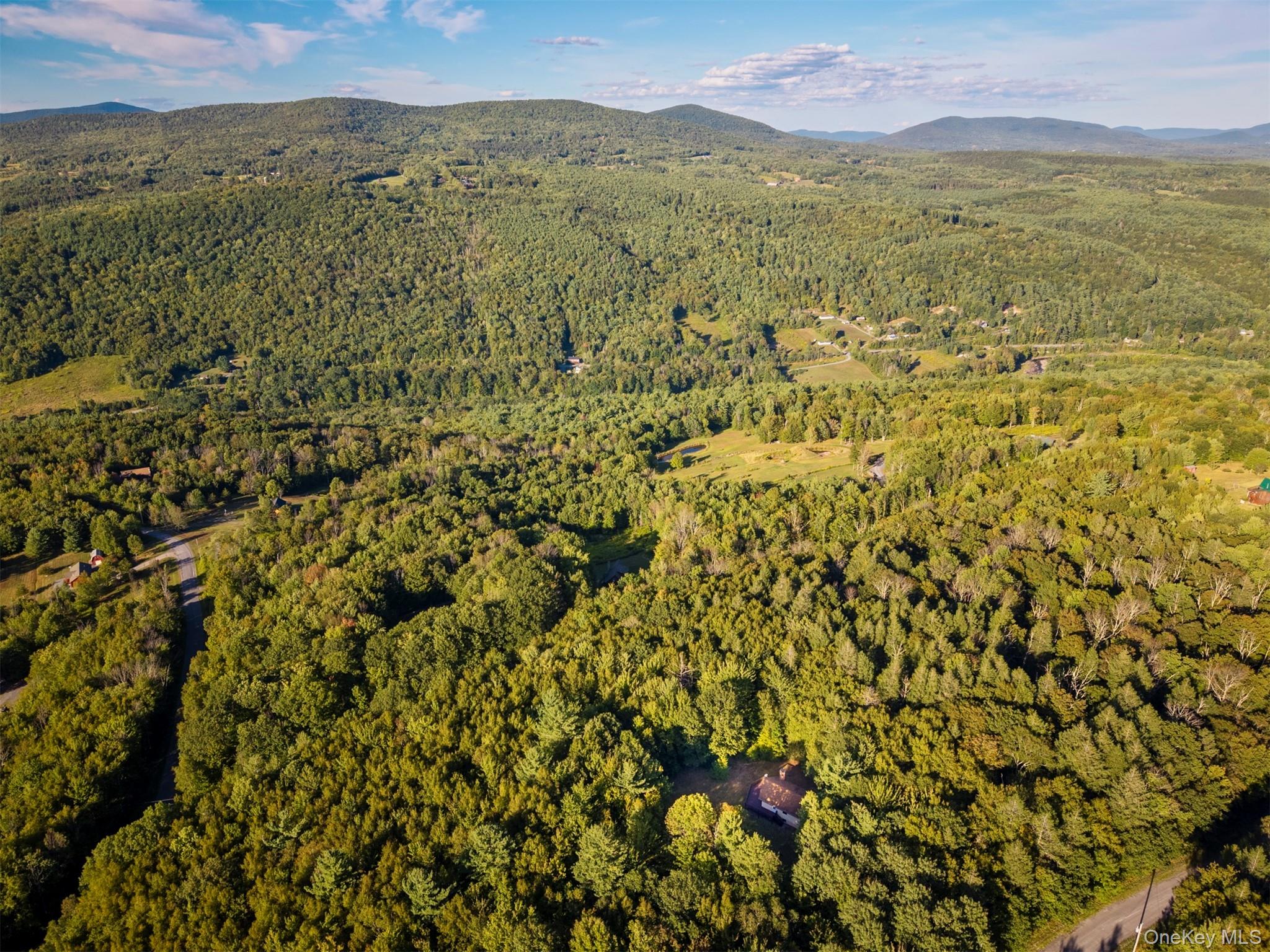 321 Terrace Drive, Prattsville, NY 12452