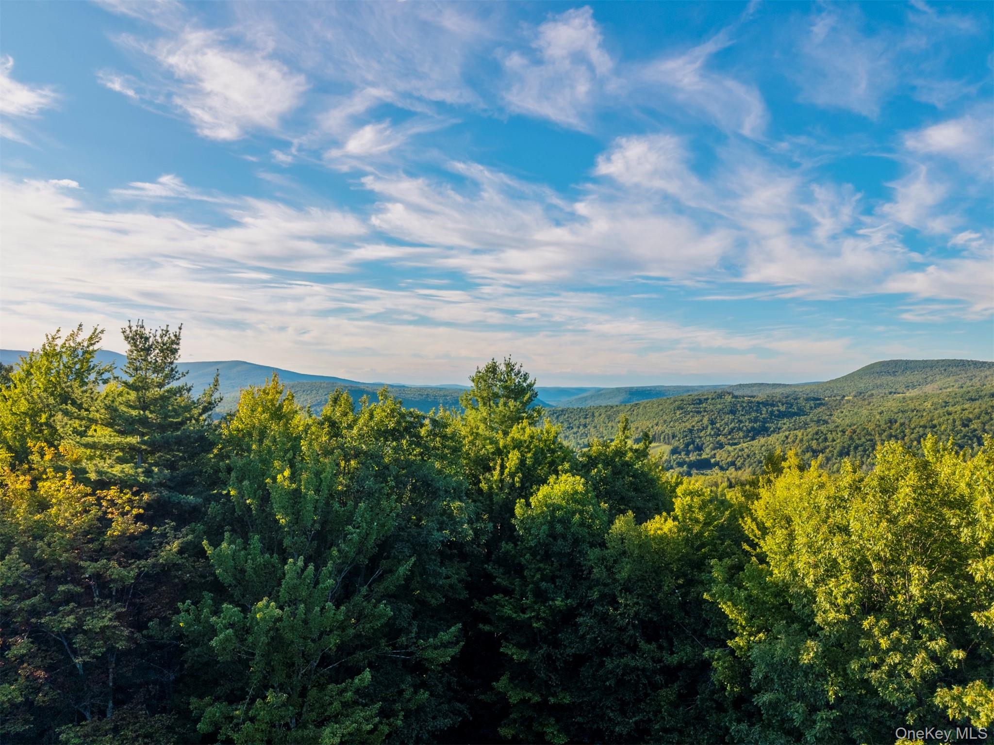 321 Terrace Drive, Prattsville, NY 12452