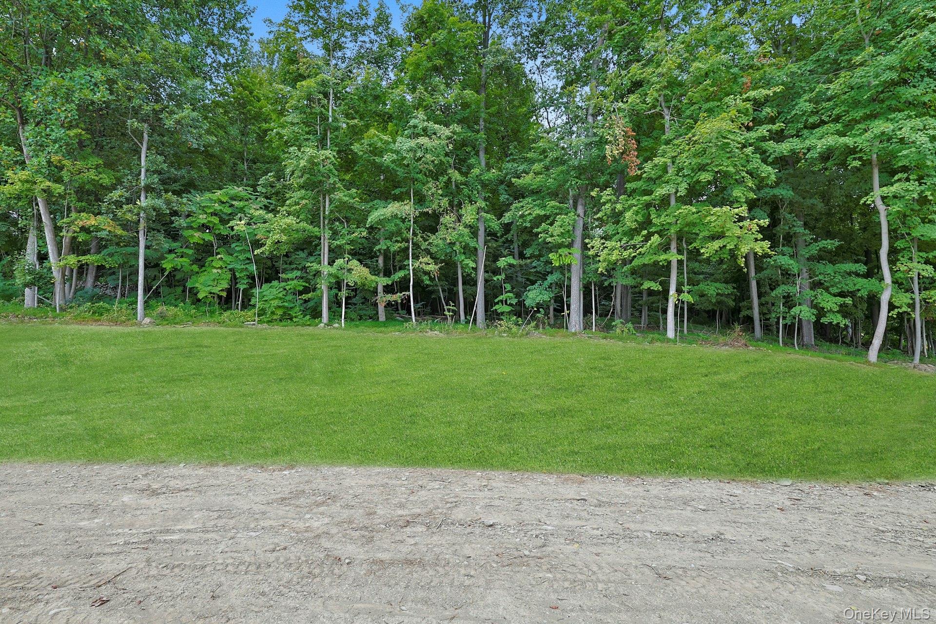 16 McDonald Court, New Windsor, NY 12553