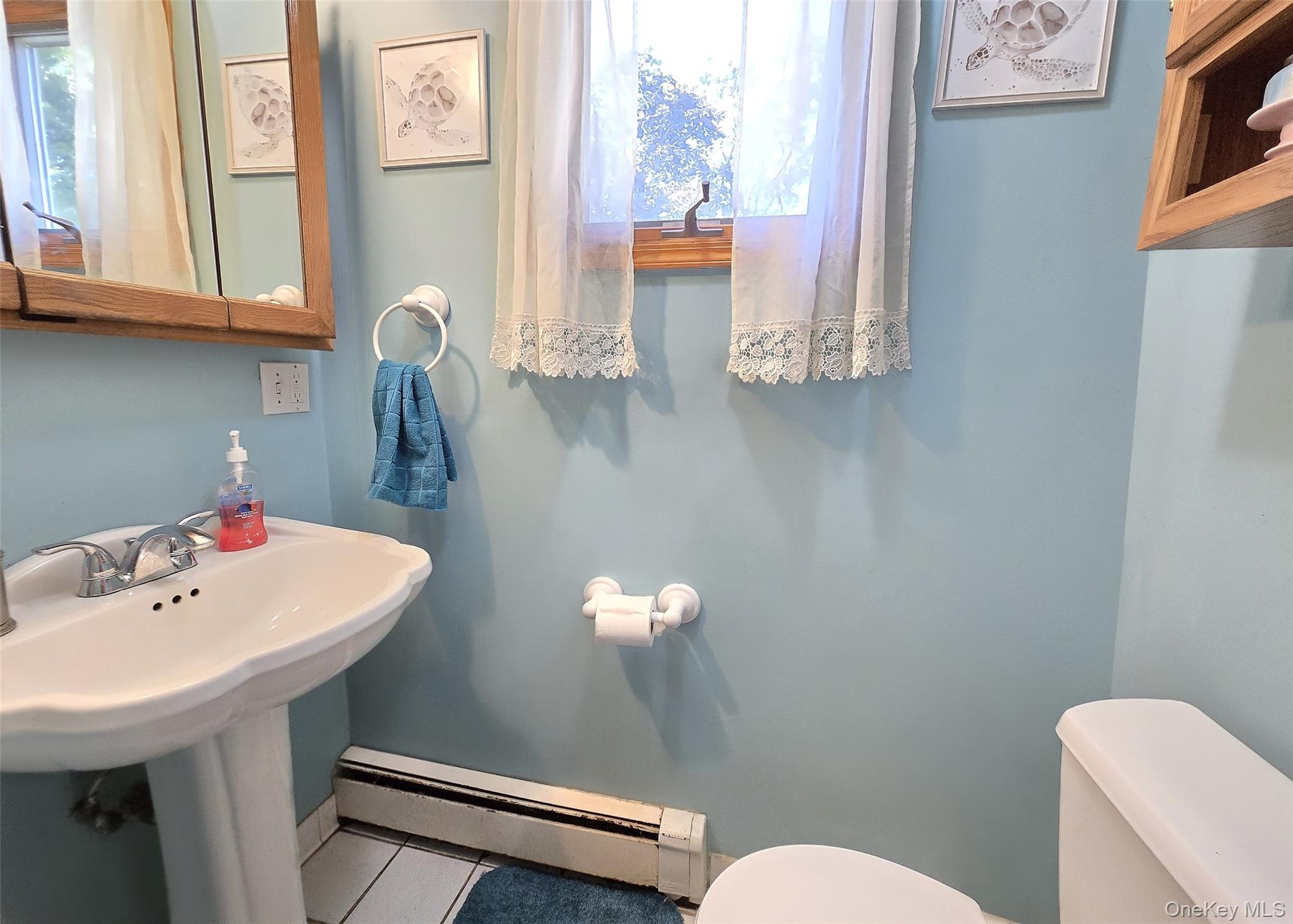 423 Alphabet Street, Holbrook, NY 11741